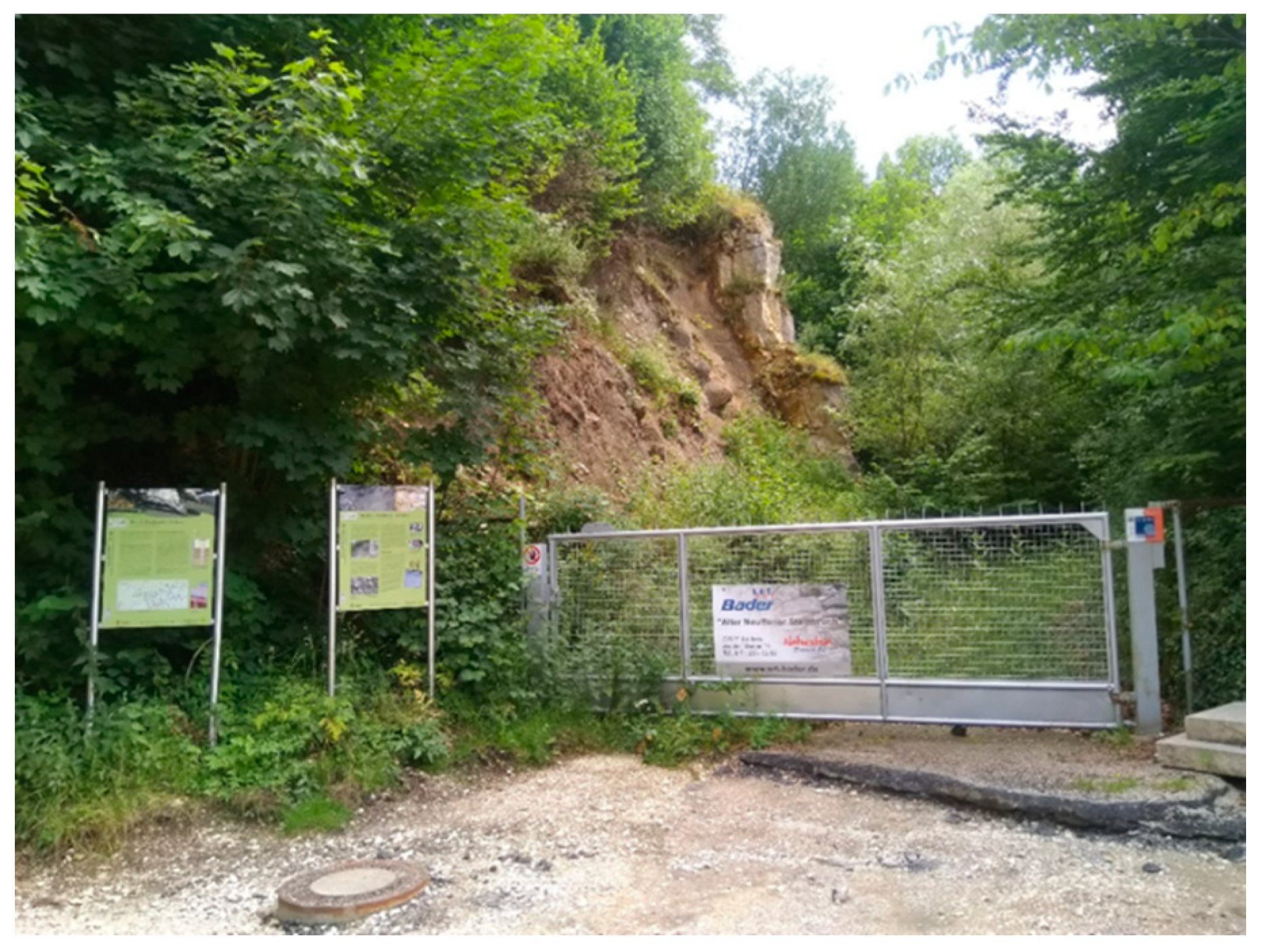 Geosciences 10 00445 g011