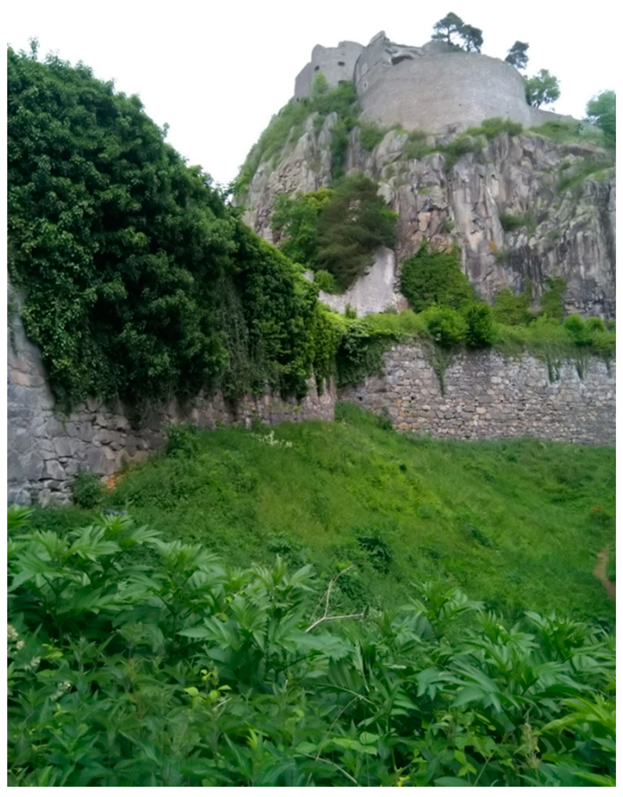 Geosciences 10 00445 g014