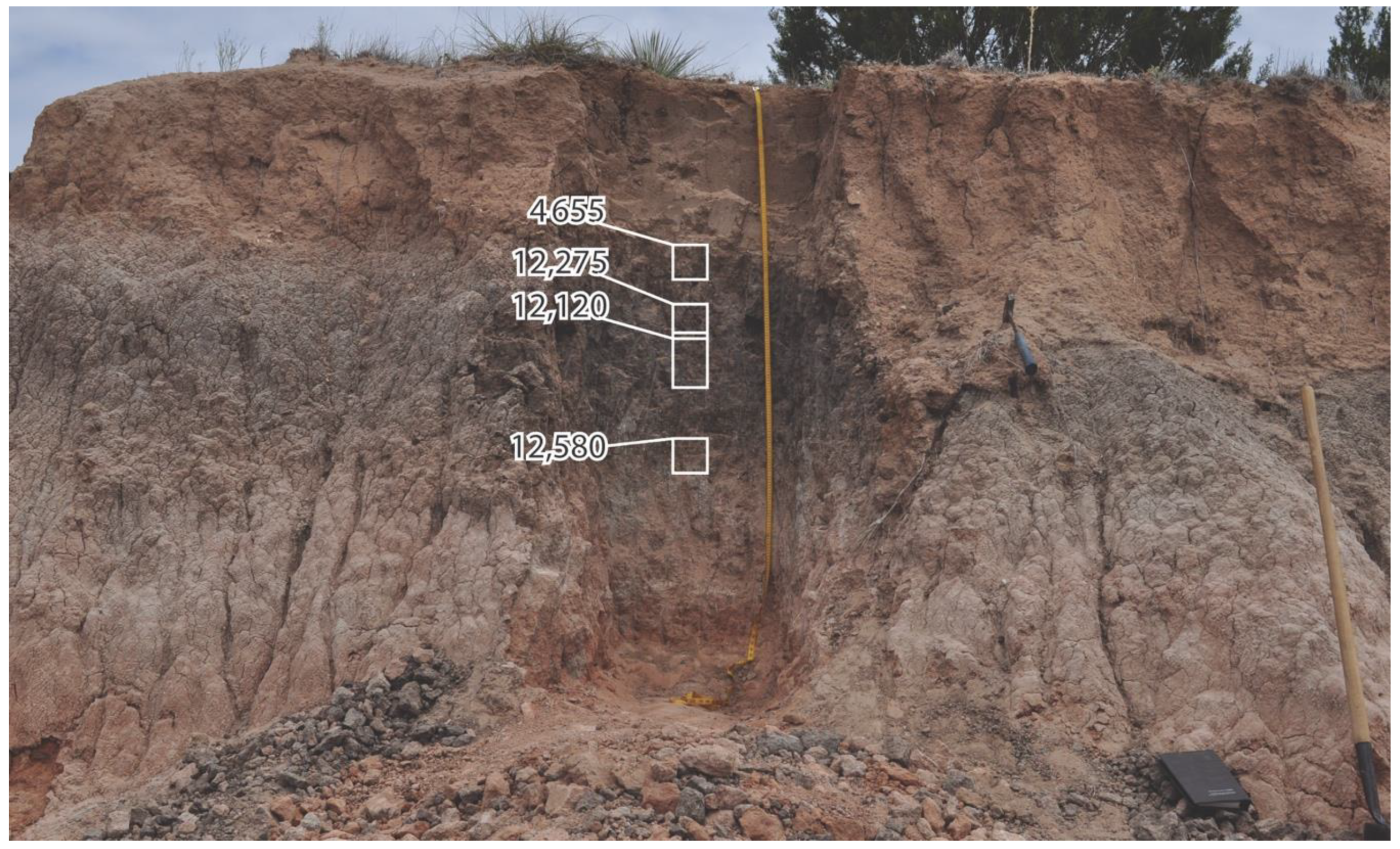 Geosciences 10 00476 g003
