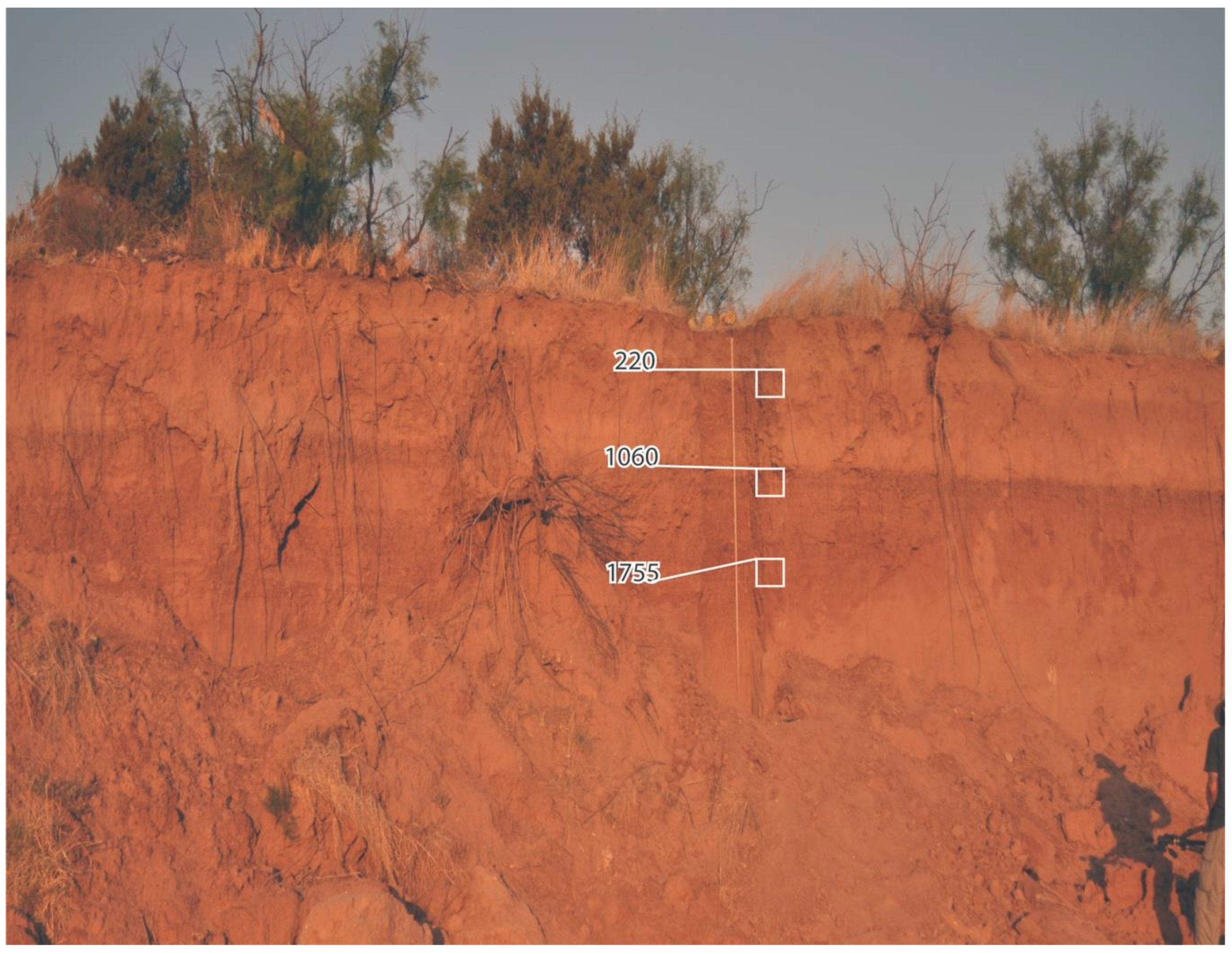 Geosciences 10 00476 g005