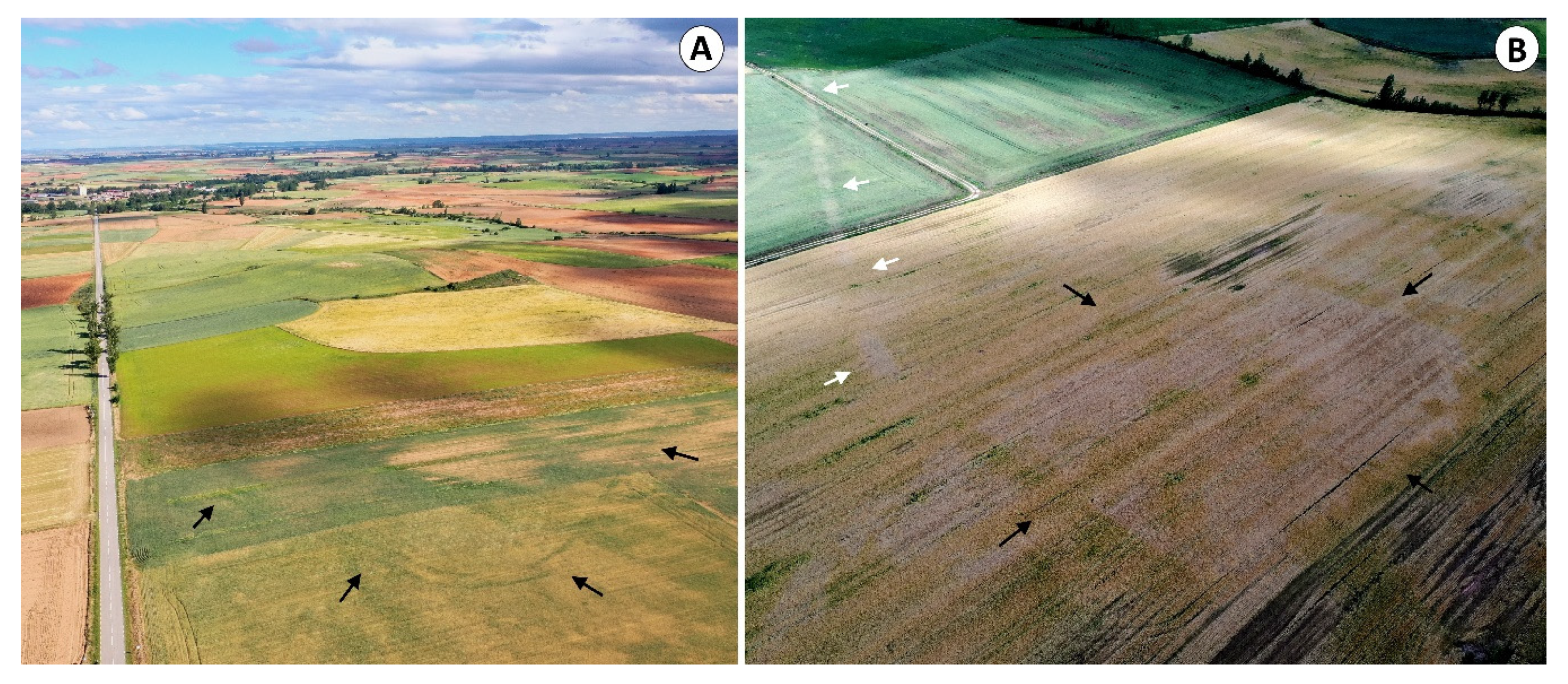 Geosciences 10 00485 g007