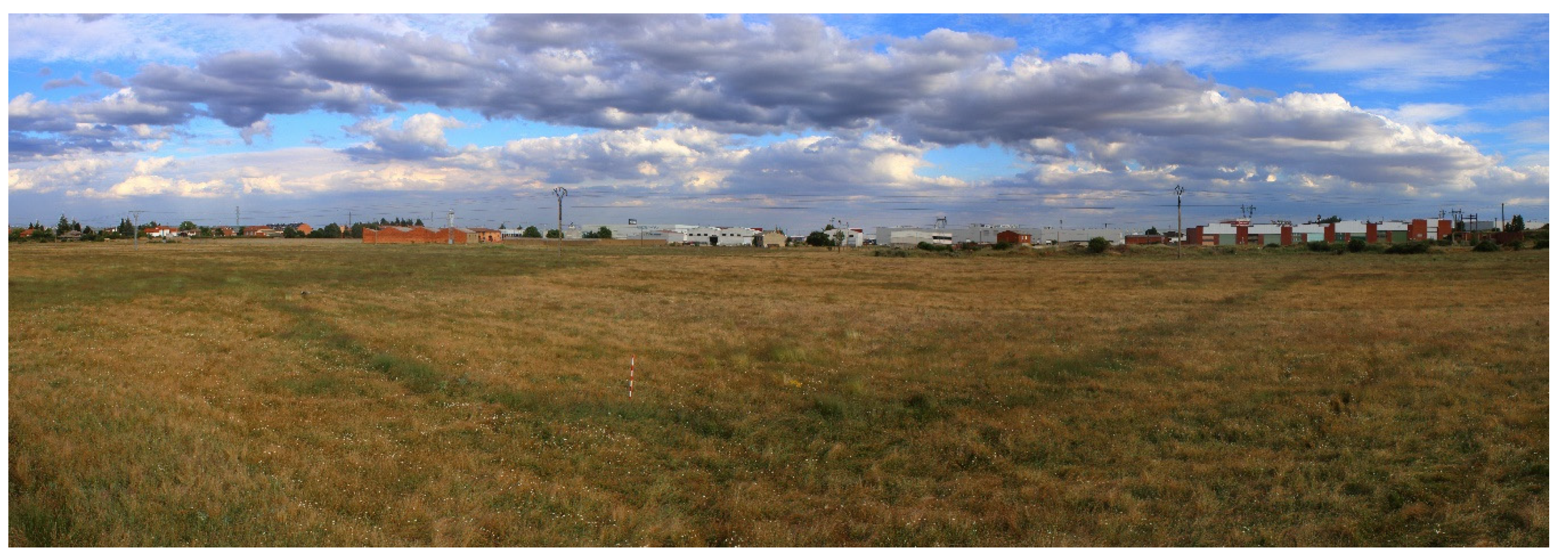 Geosciences 10 00485 g015