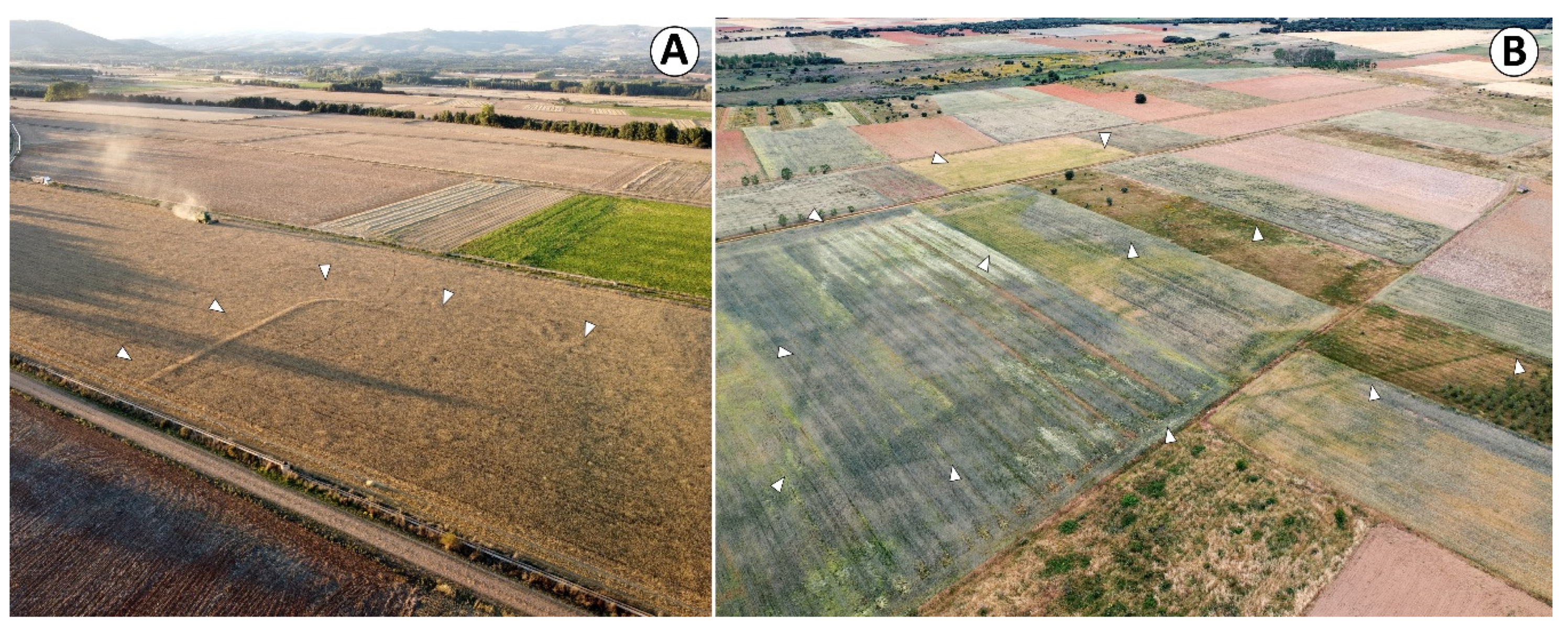 Geosciences 10 00485 g016