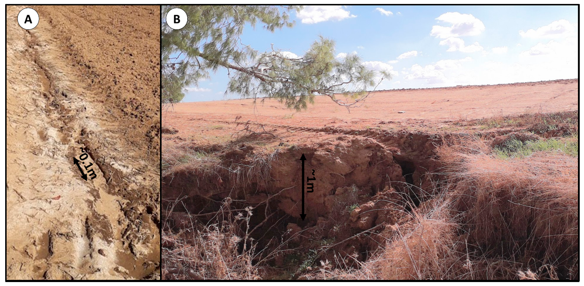 Geosciences 11 00002 g004