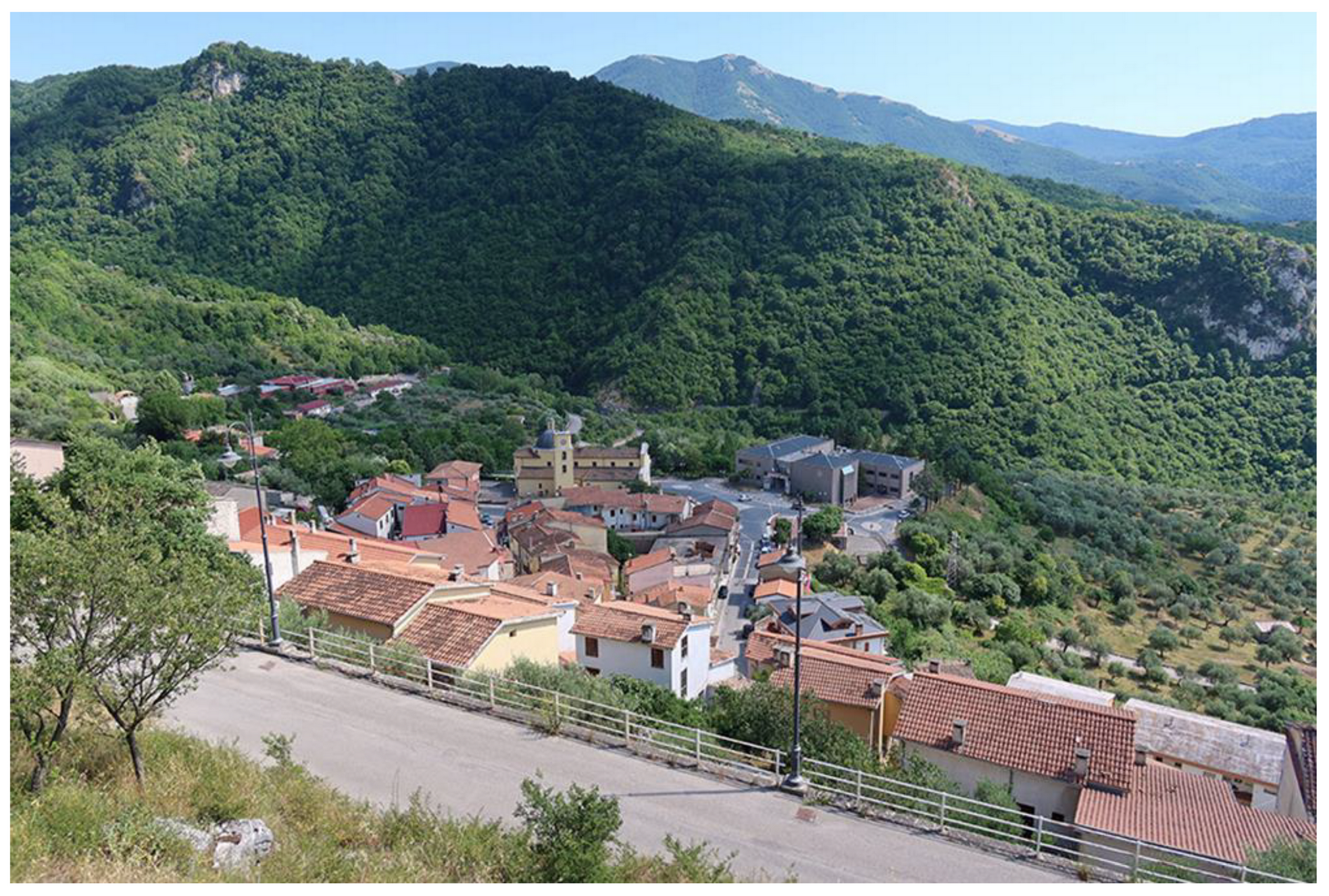 Geosciences 11 00006 g029