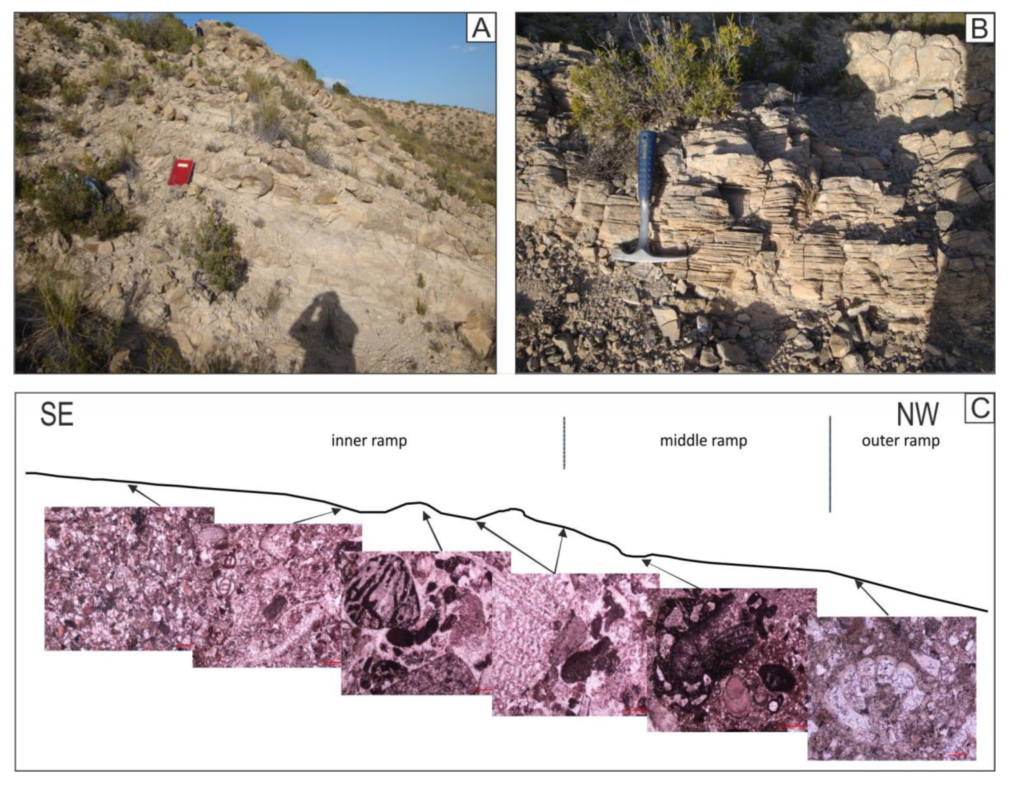Geosciences 11 00034 g006 Geosciences 11 00034 g006