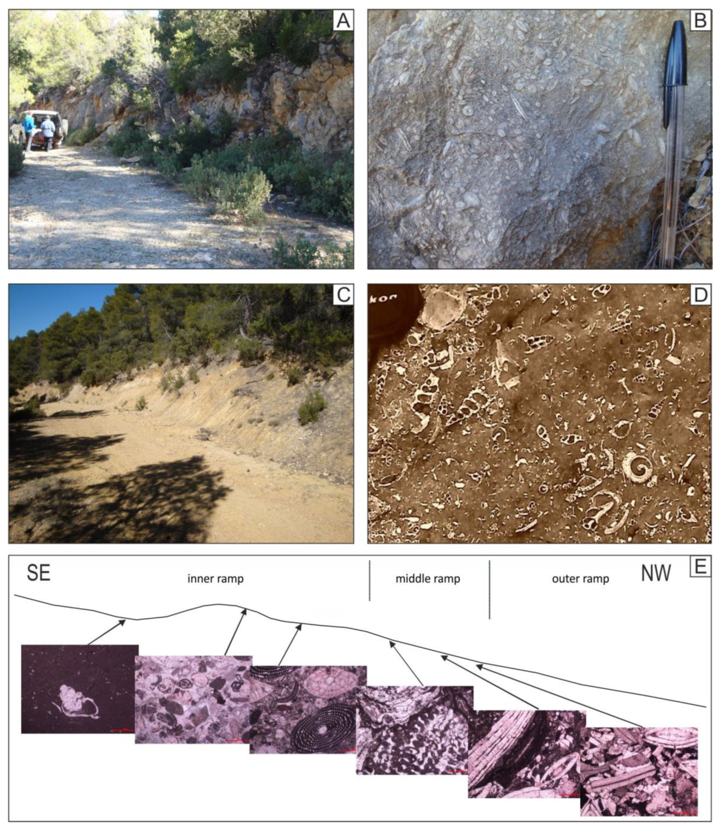 Geosciences 11 00034 g007 Geosciences 11 00034 g007