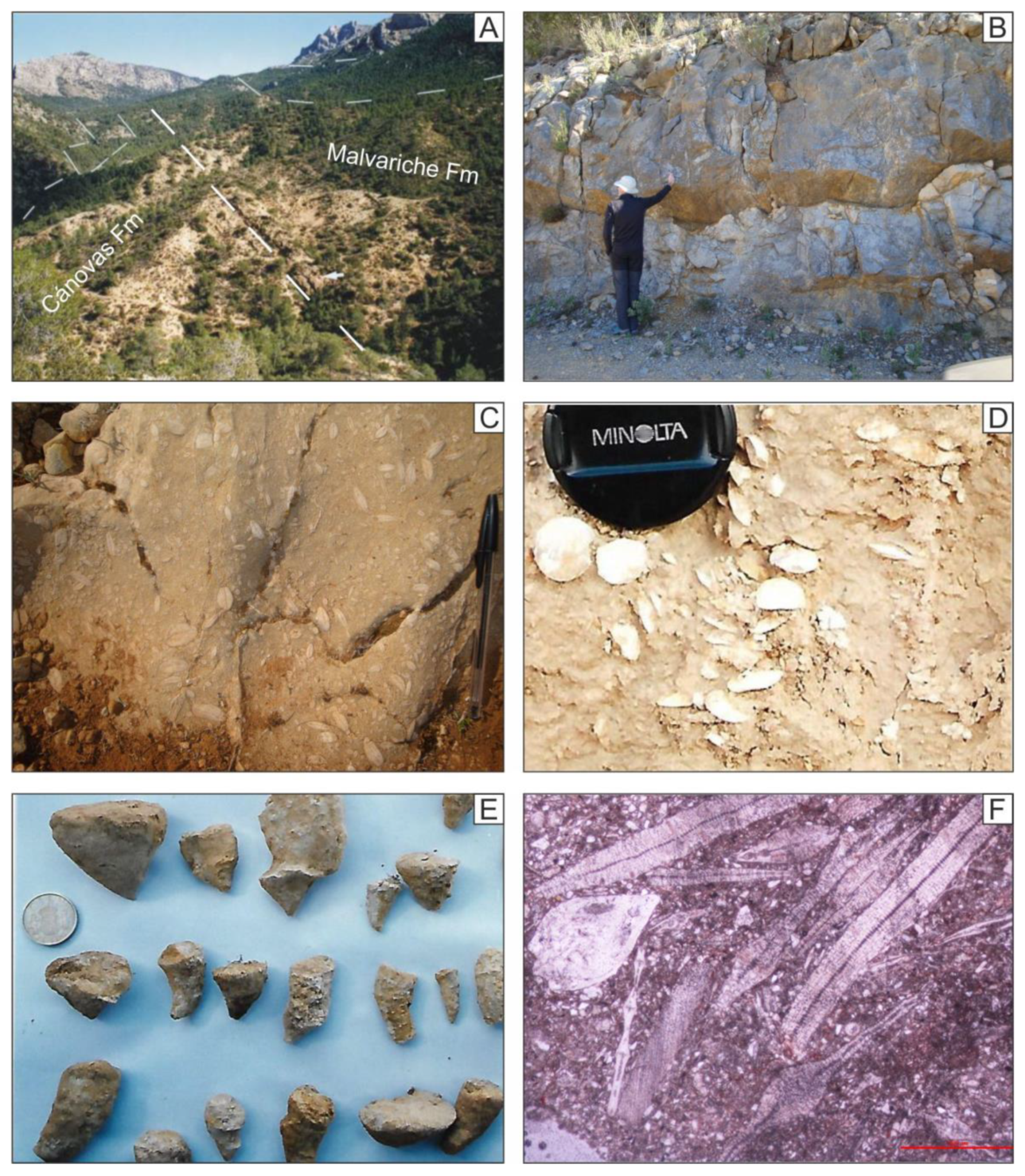 Geosciences 11 00034 g008 Geosciences 11 00034 g008