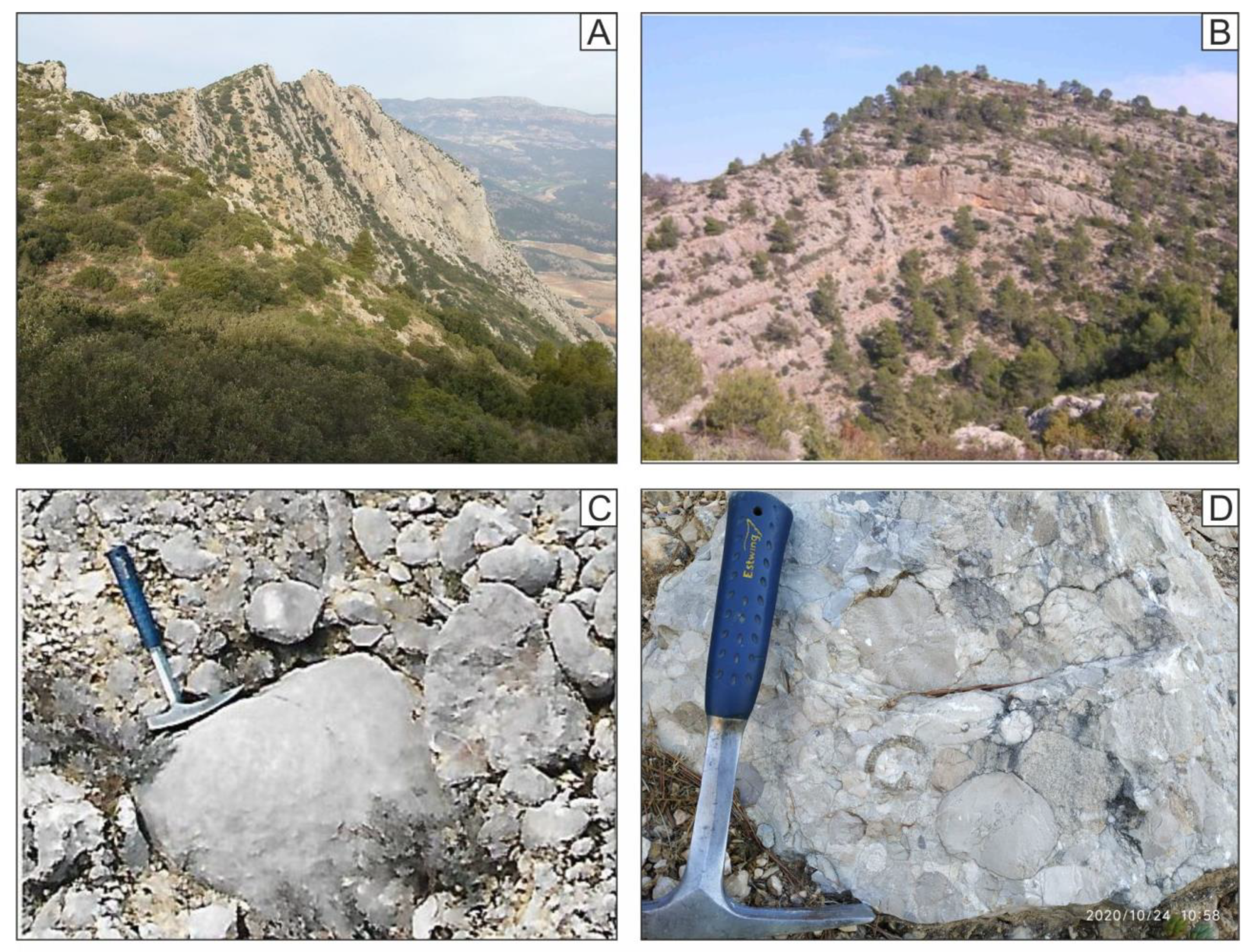 Geosciences 11 00034 g010 Geosciences 11 00034 g010