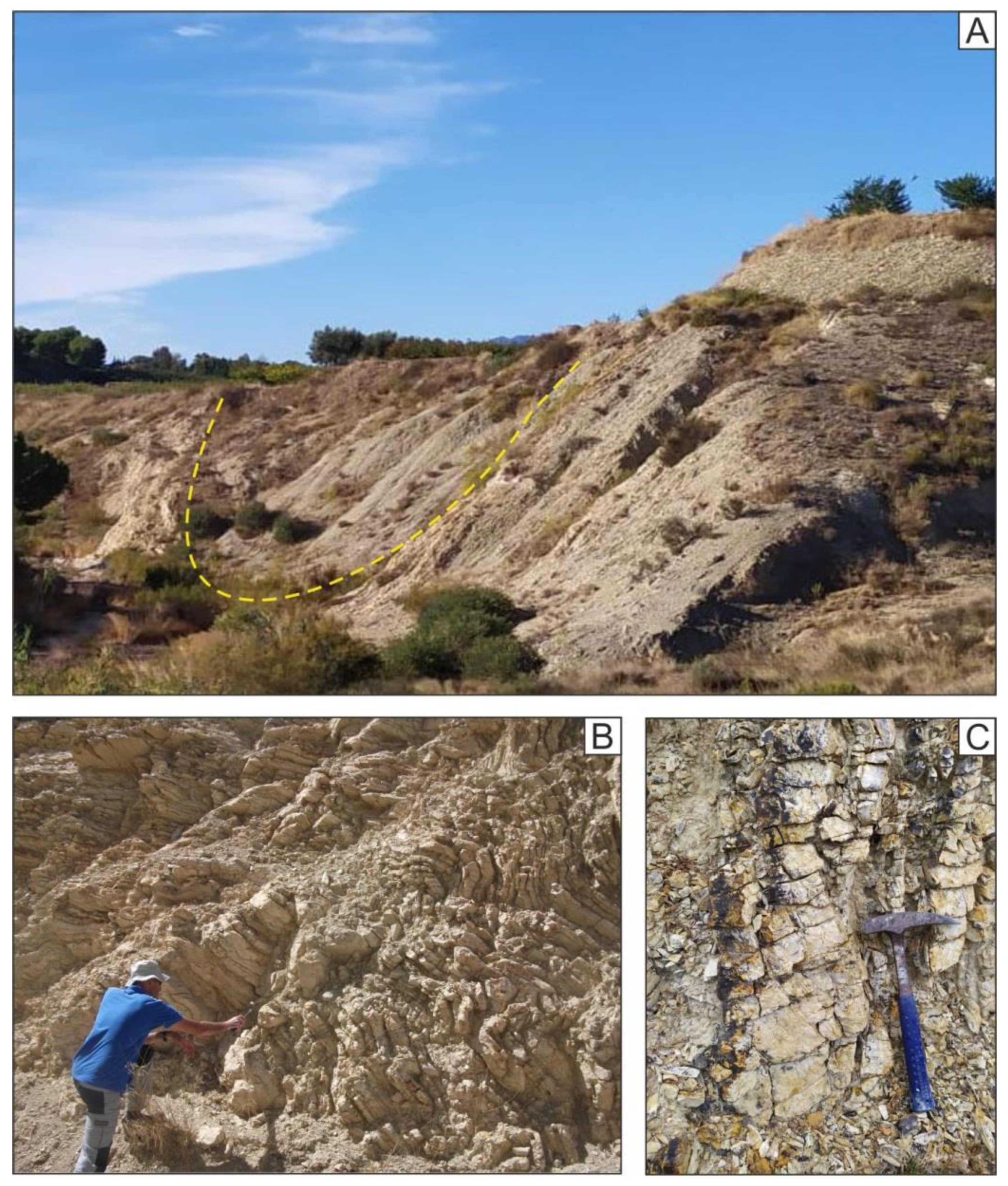 Geosciences 11 00034 g012 Geosciences 11 00034 g012