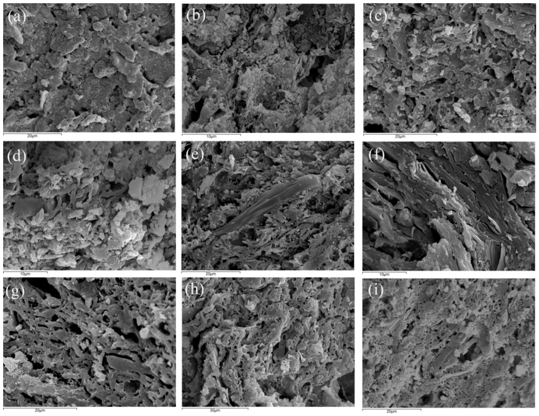 Geosciences 11 00036 g010