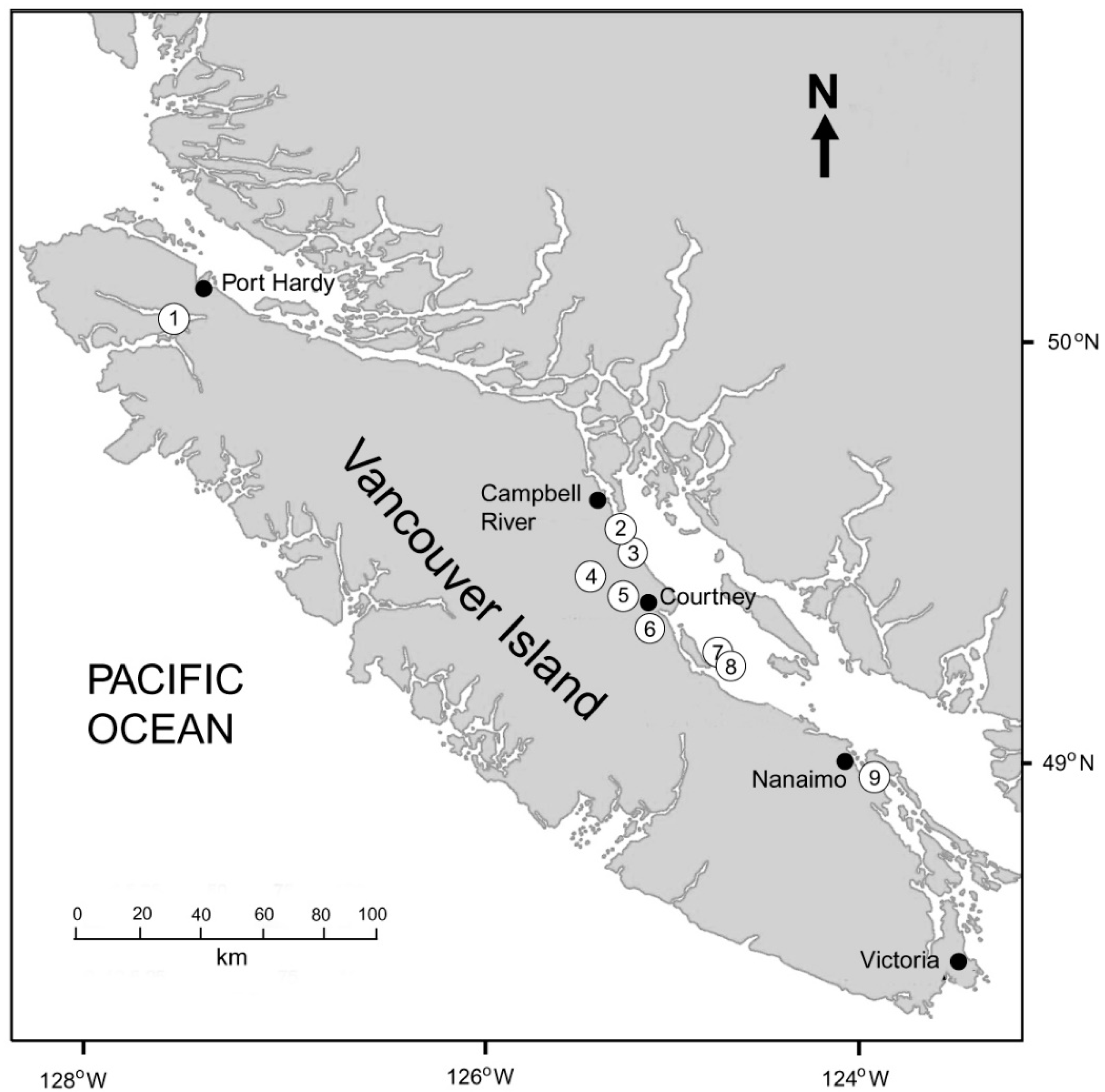 Geosciences 11 00038 g001