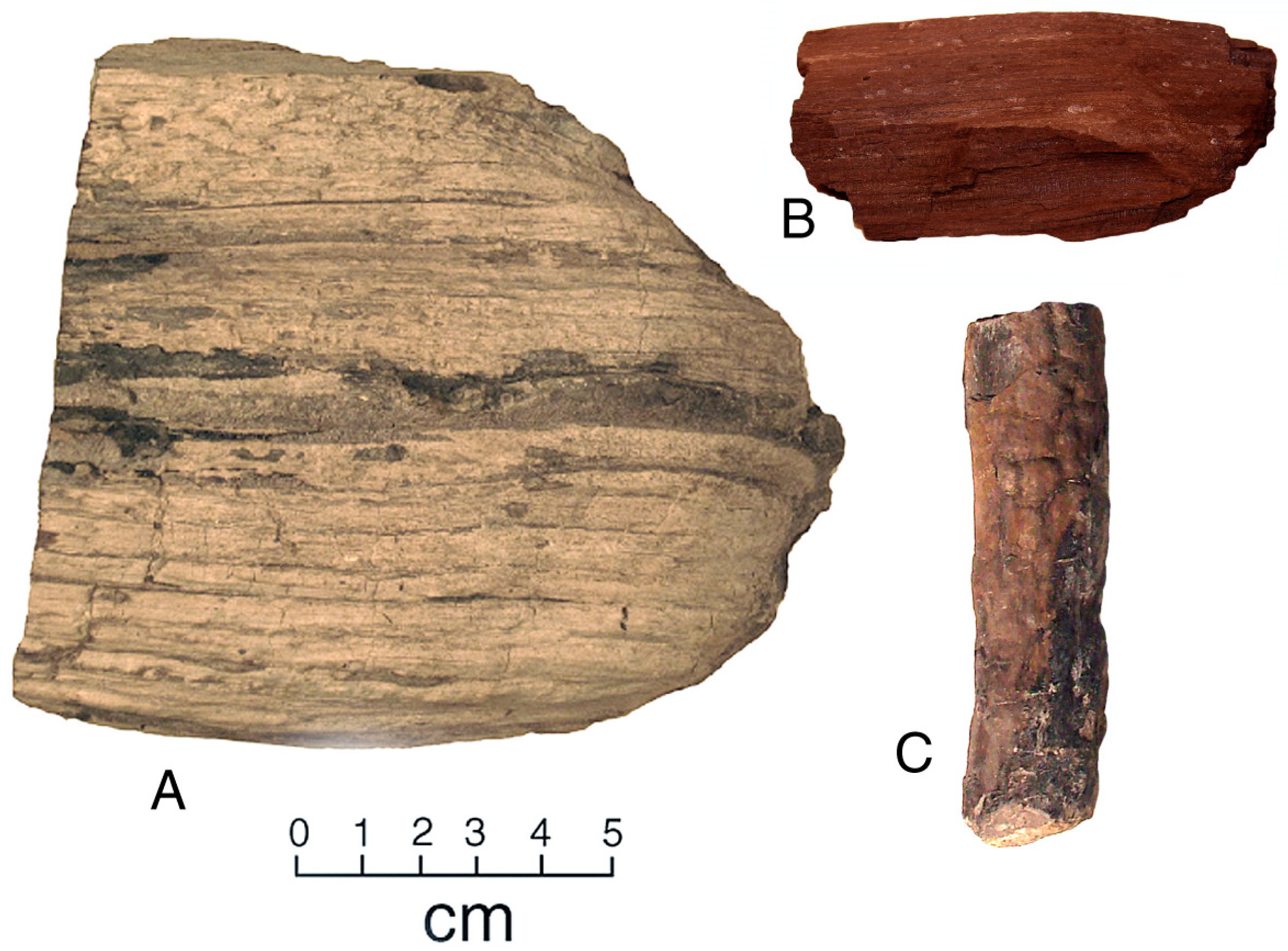 Geosciences 11 00038 g003