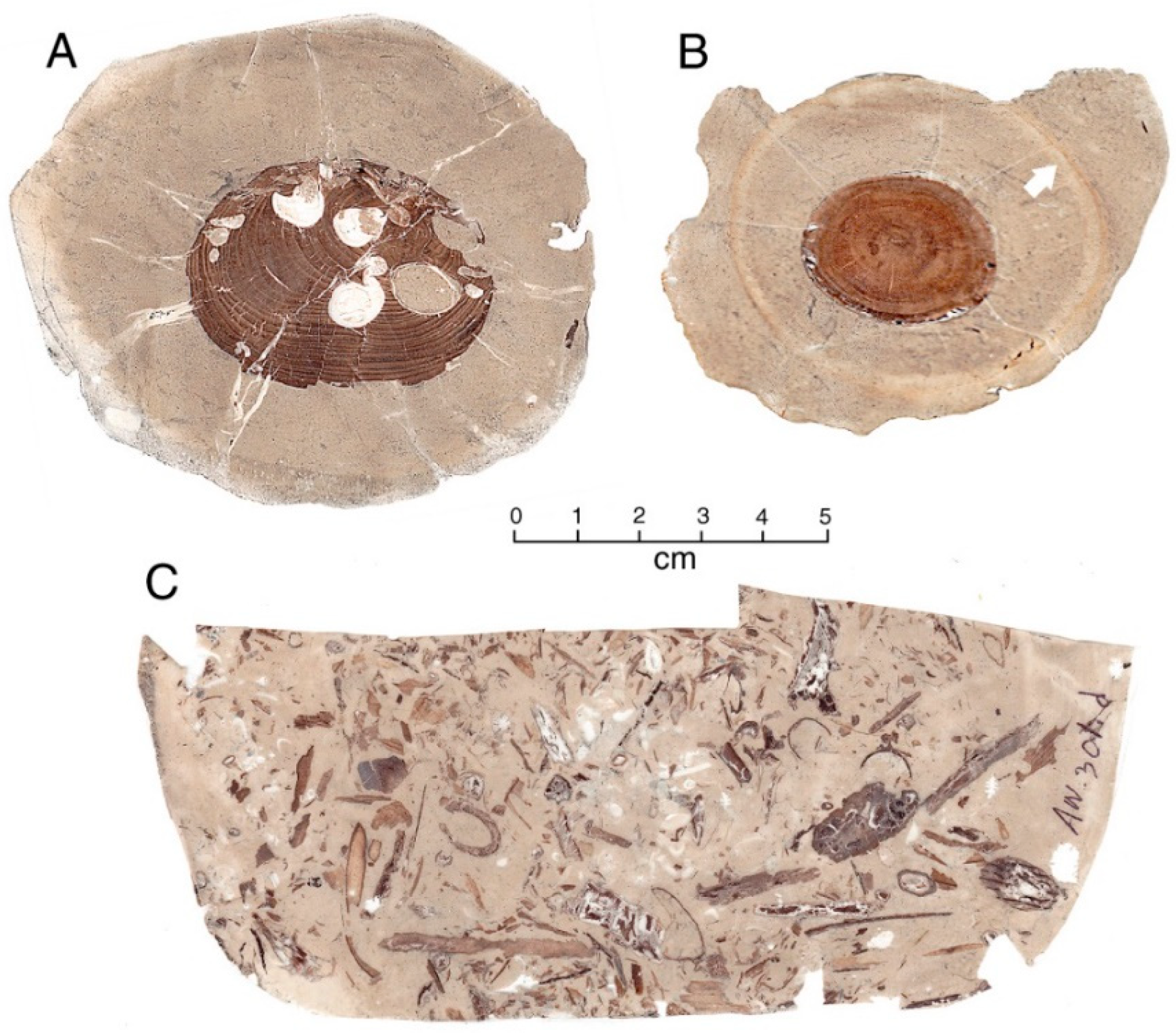Geosciences 11 00038 g004