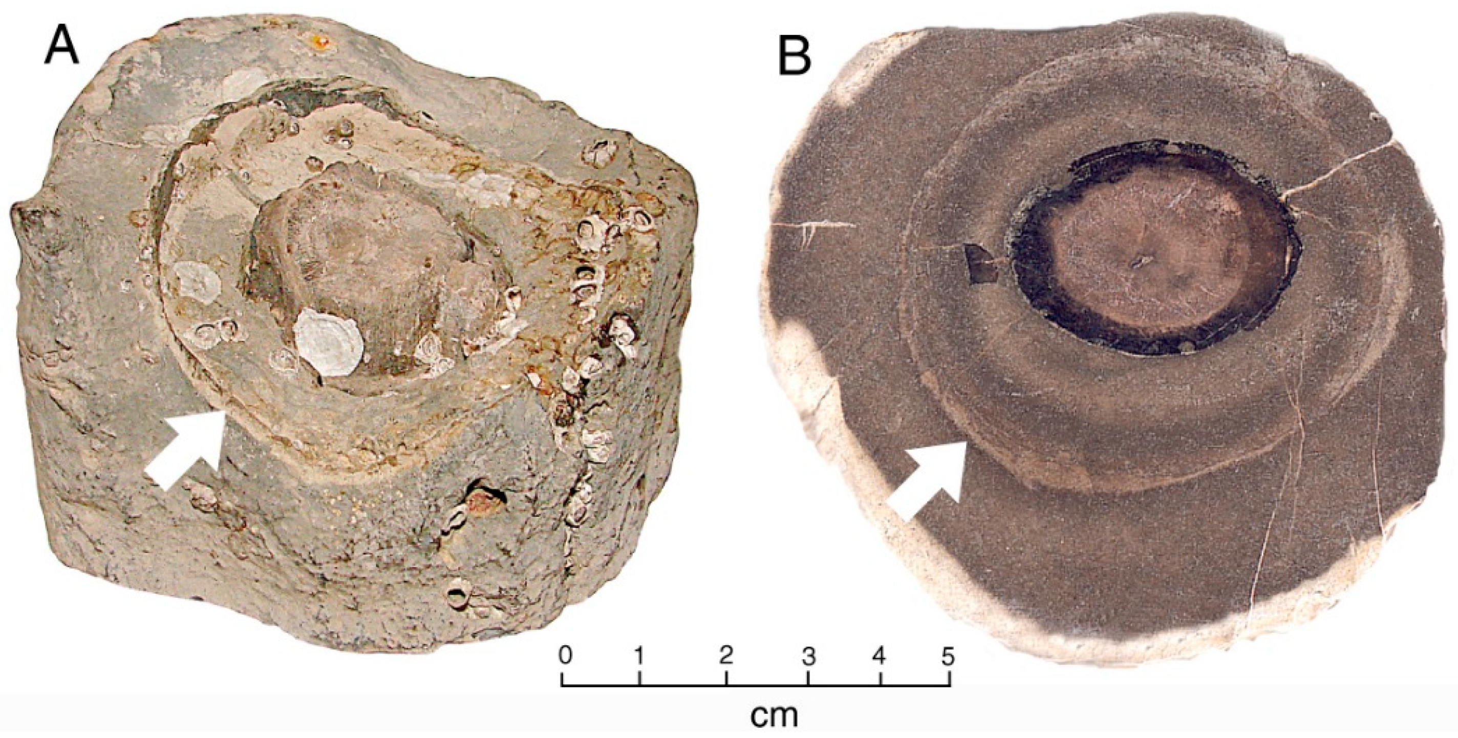 Geosciences 11 00038 g011
