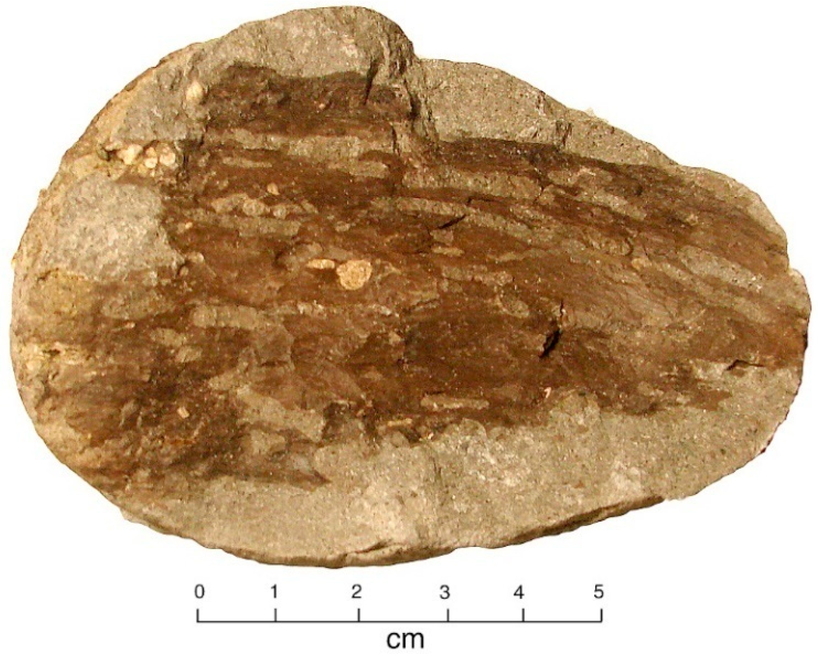 Geosciences 11 00038 g012