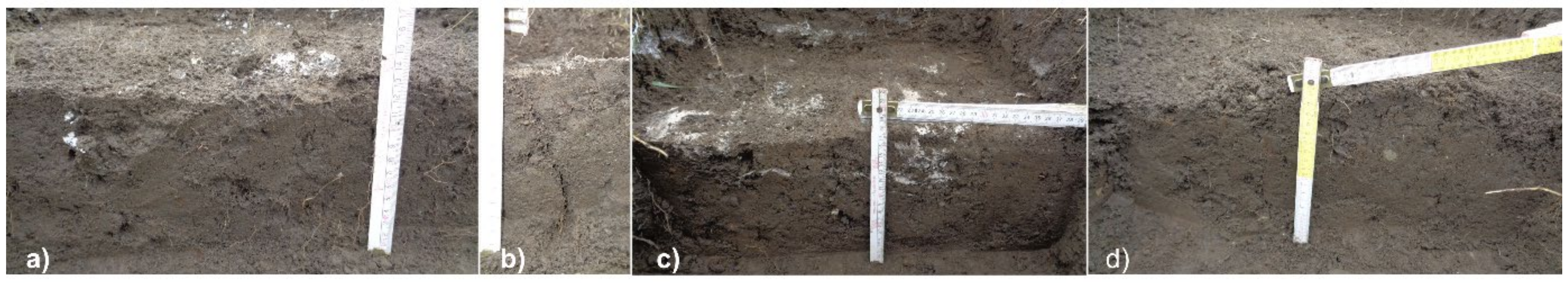 Geosciences 11 00041 g003