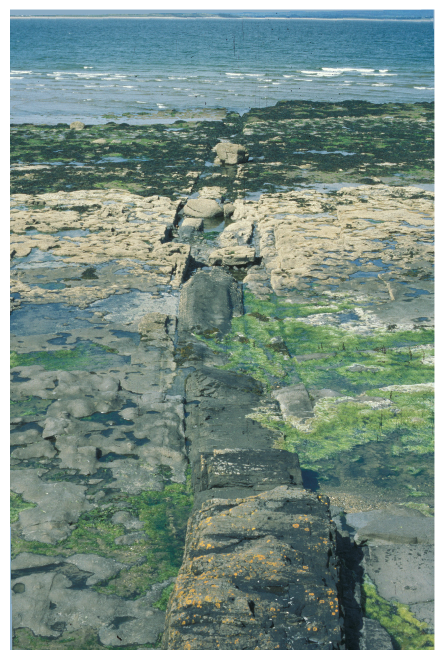 Geosciences 11 00052 g014