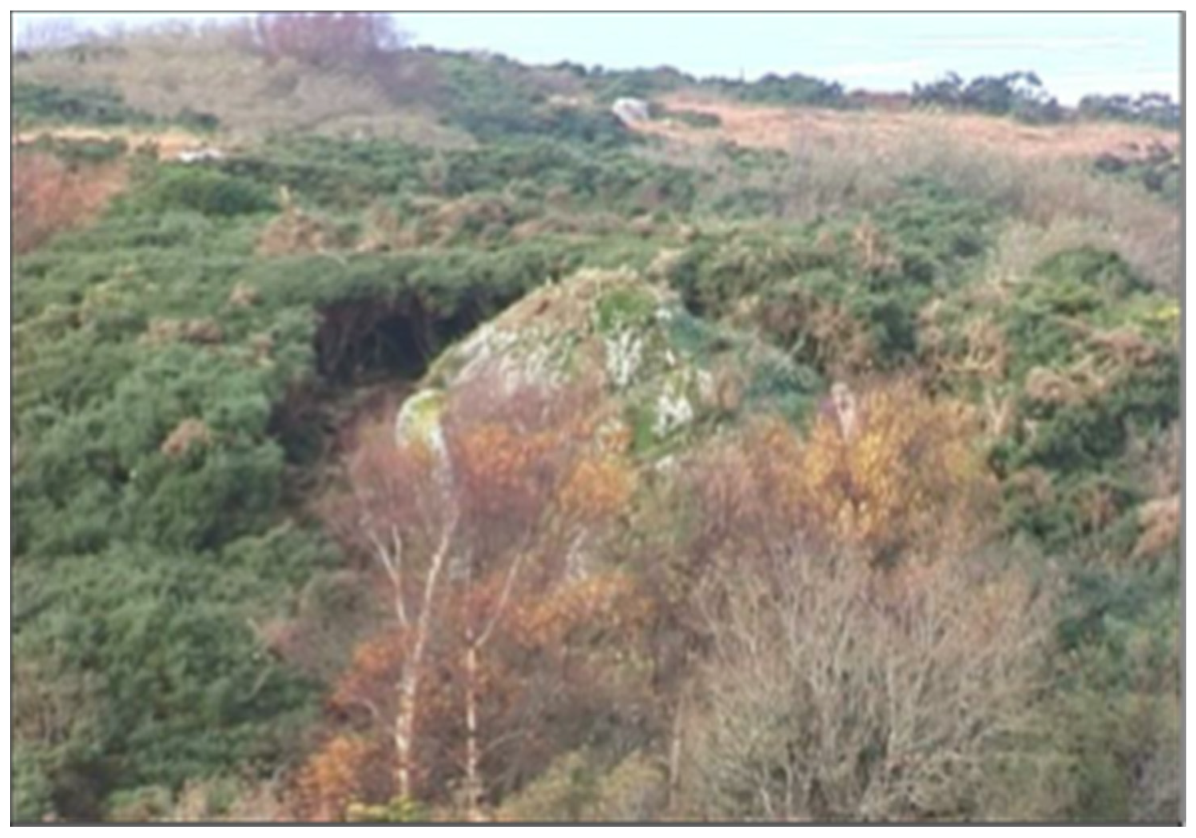 Geosciences 11 00052 g015