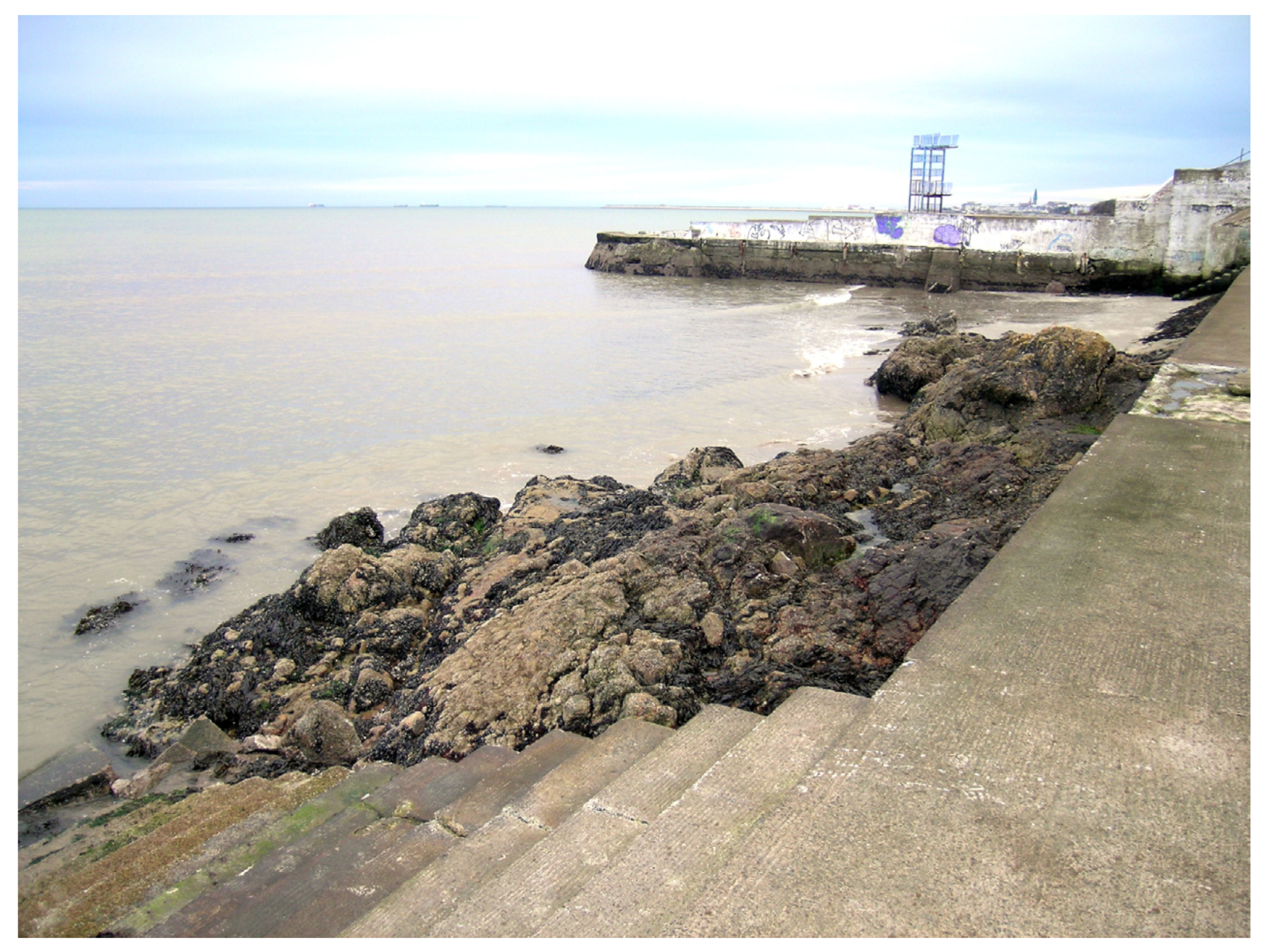 Geosciences 11 00052 g016