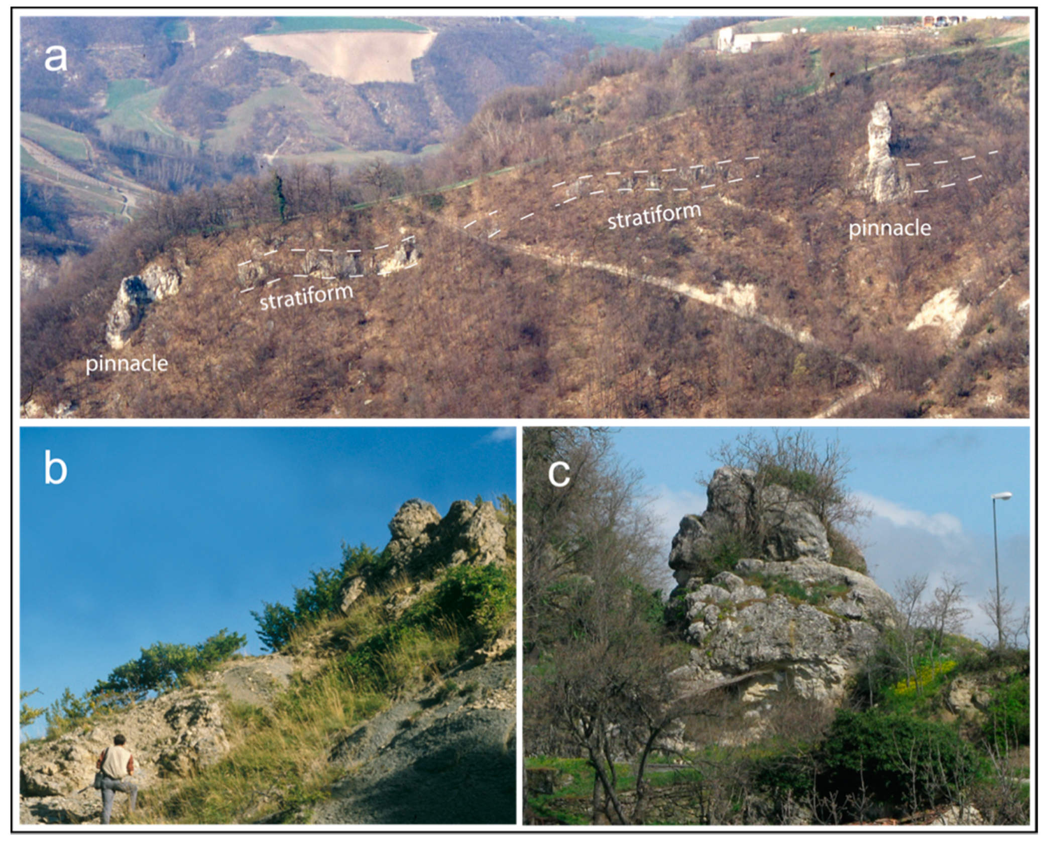 Geosciences 11 00053 g003