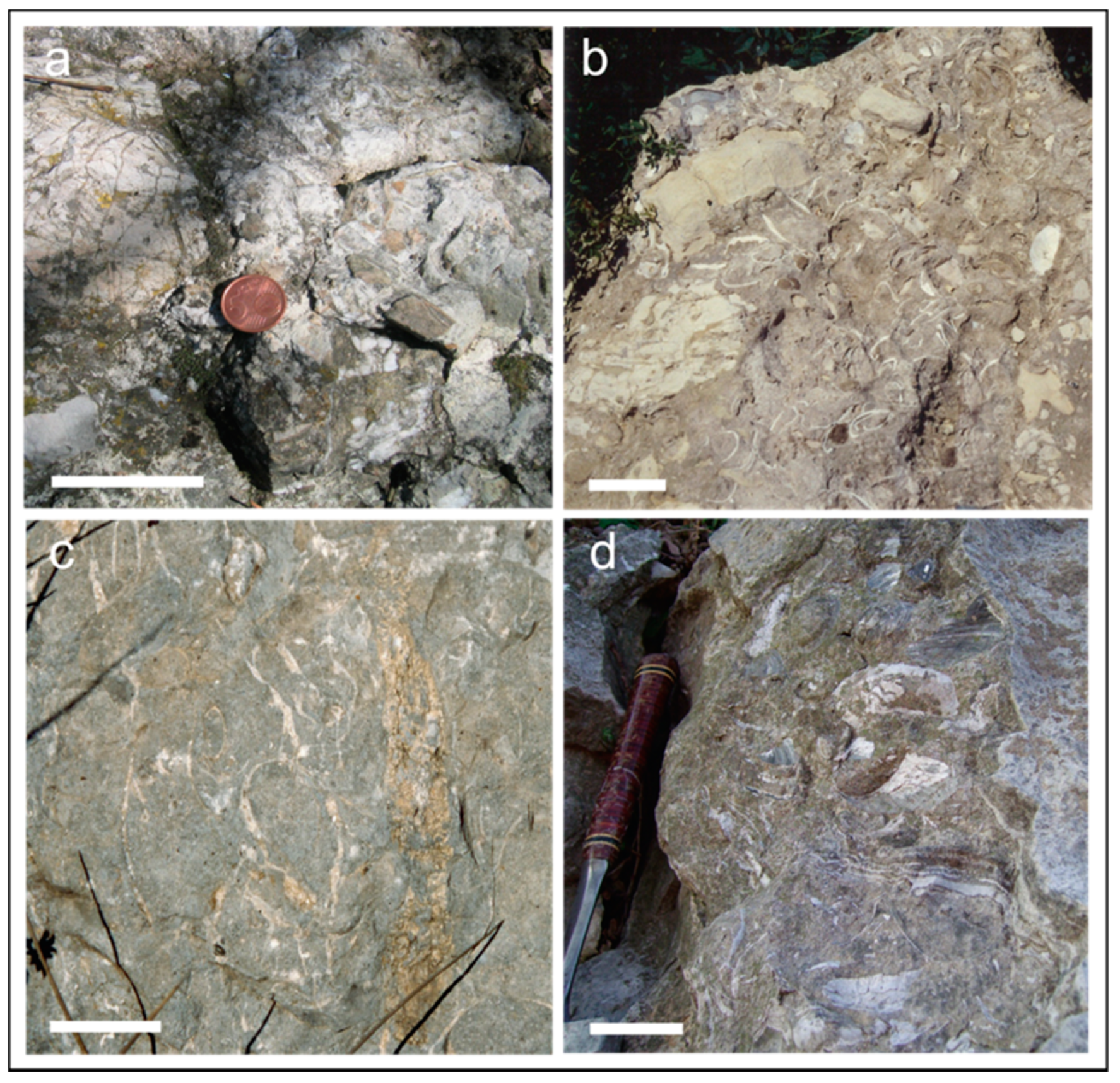 Geosciences 11 00053 g005