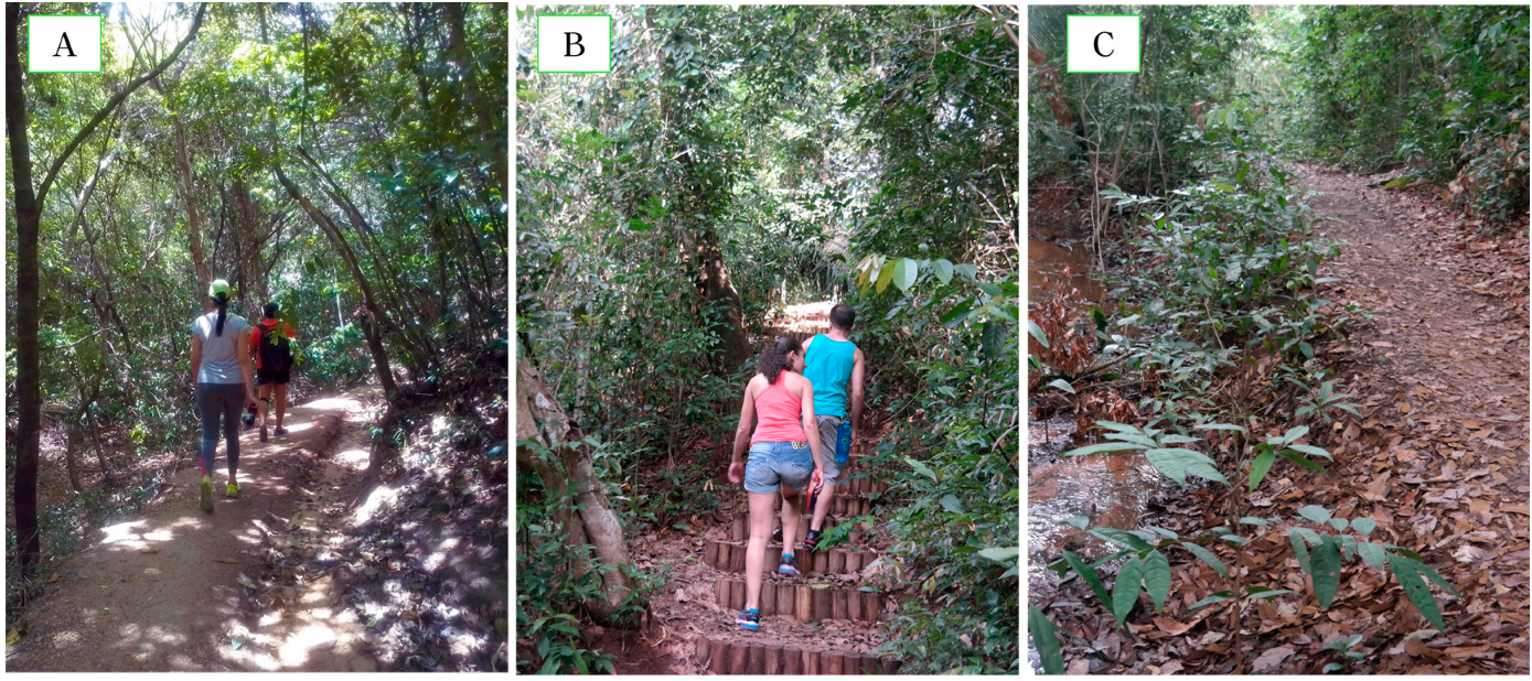 Geosciences 11 00061 g011