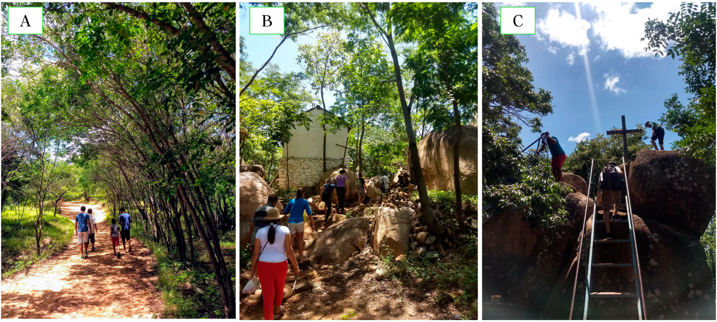 Geosciences 11 00061 g013