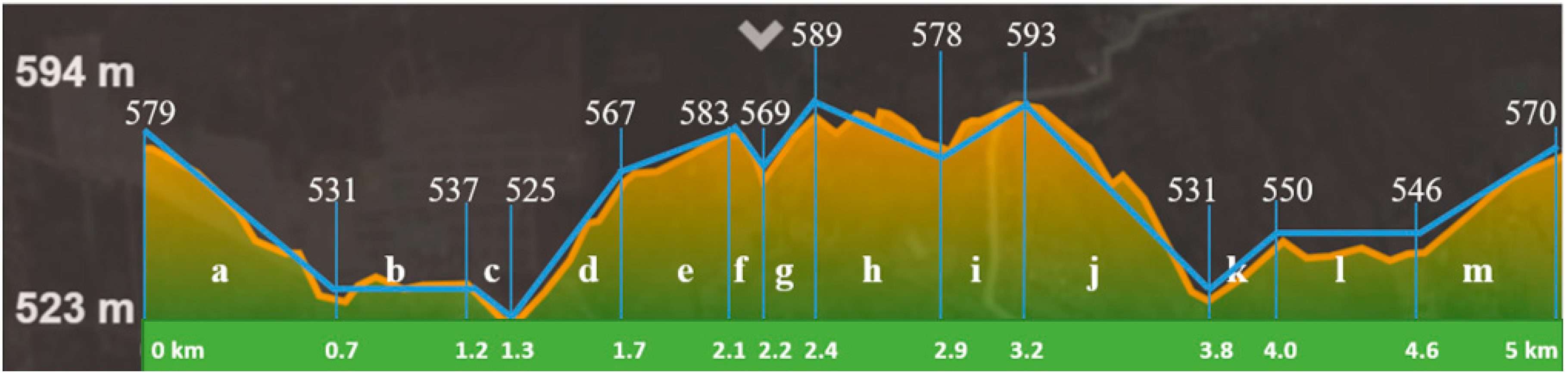 Geosciences 11 00061 g014