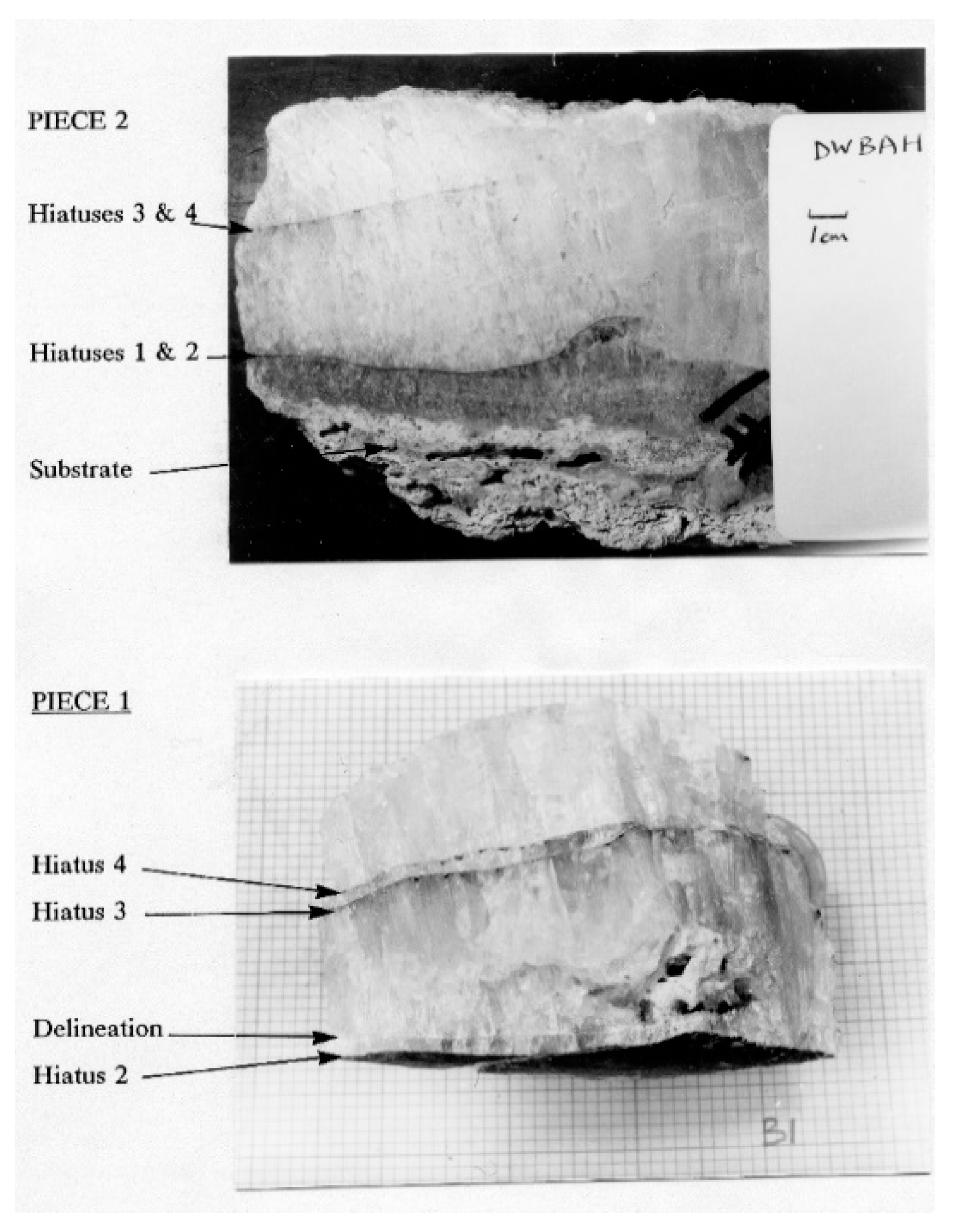 Geosciences 11 00077 g010