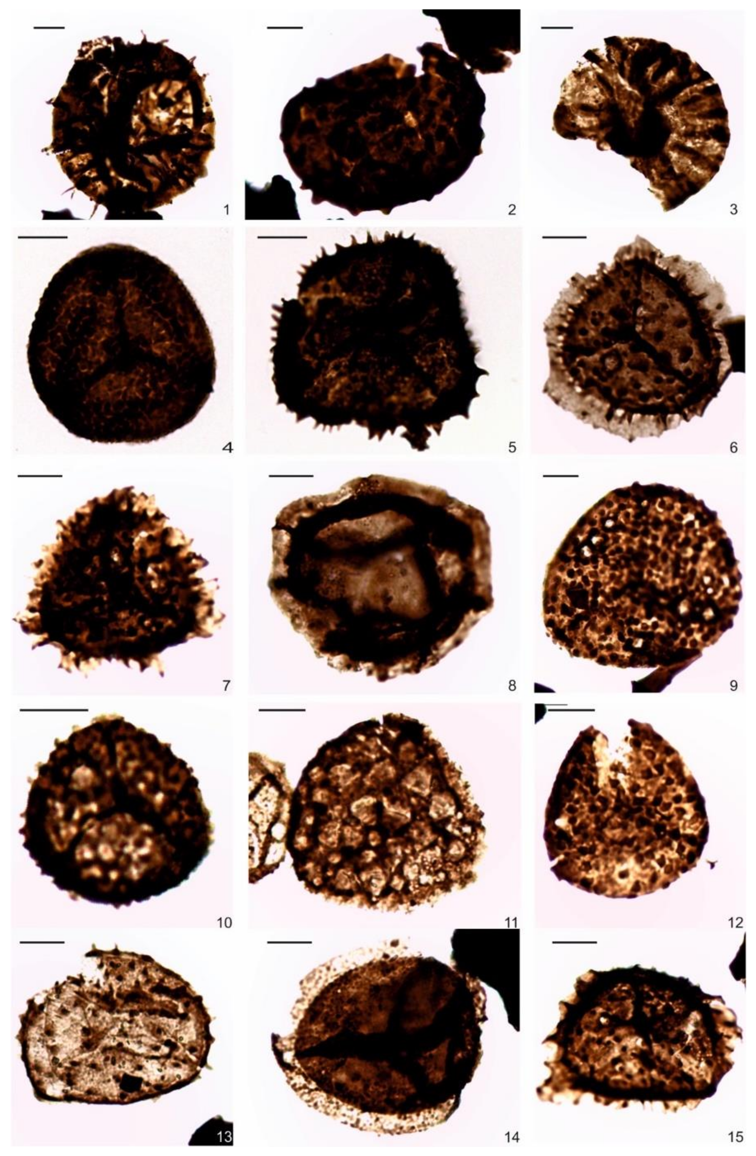 Geosciences 11 00084 g007 Geosciences 11 00084 g007