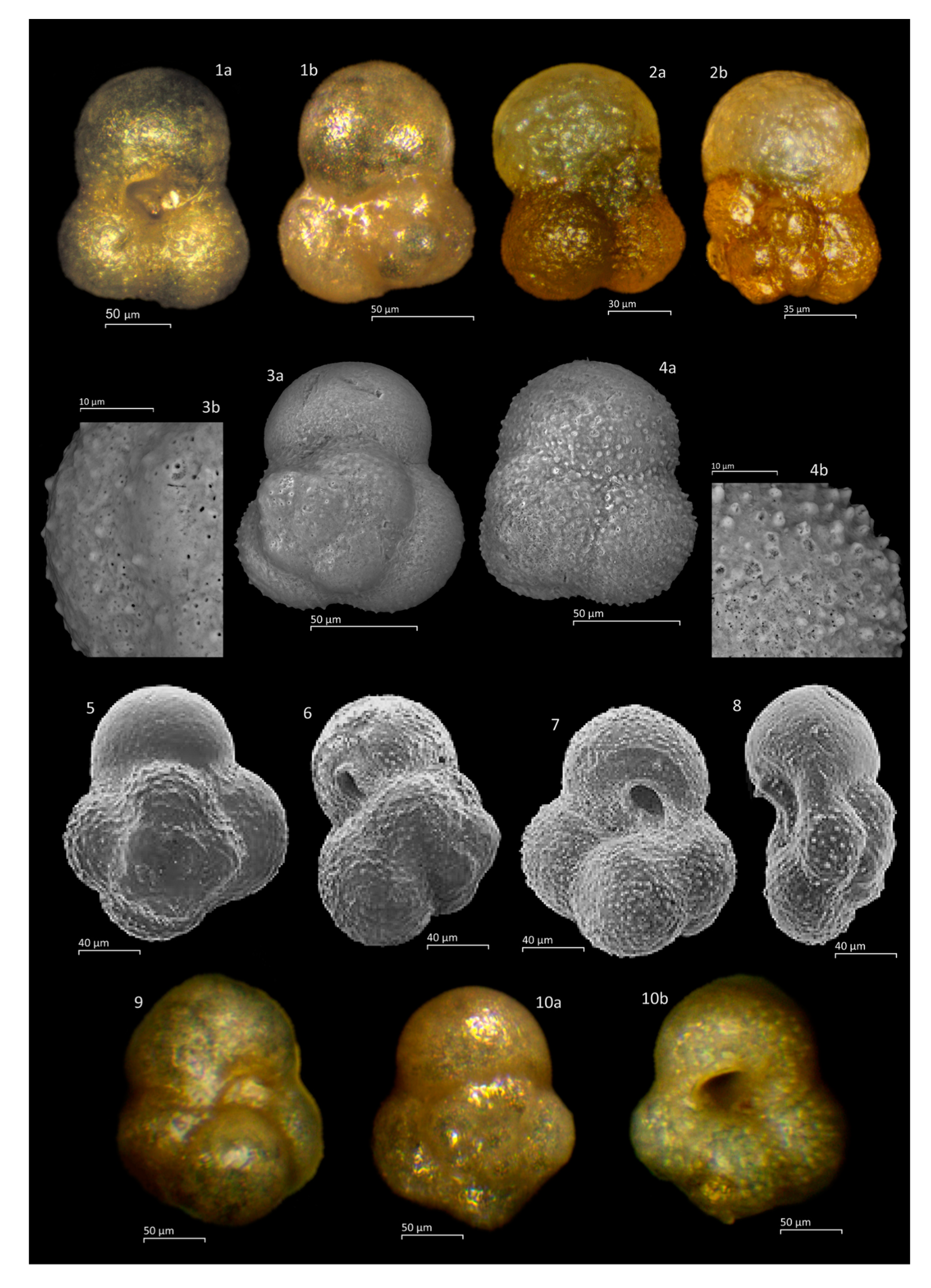 Geosciences 11 00085 g0a1