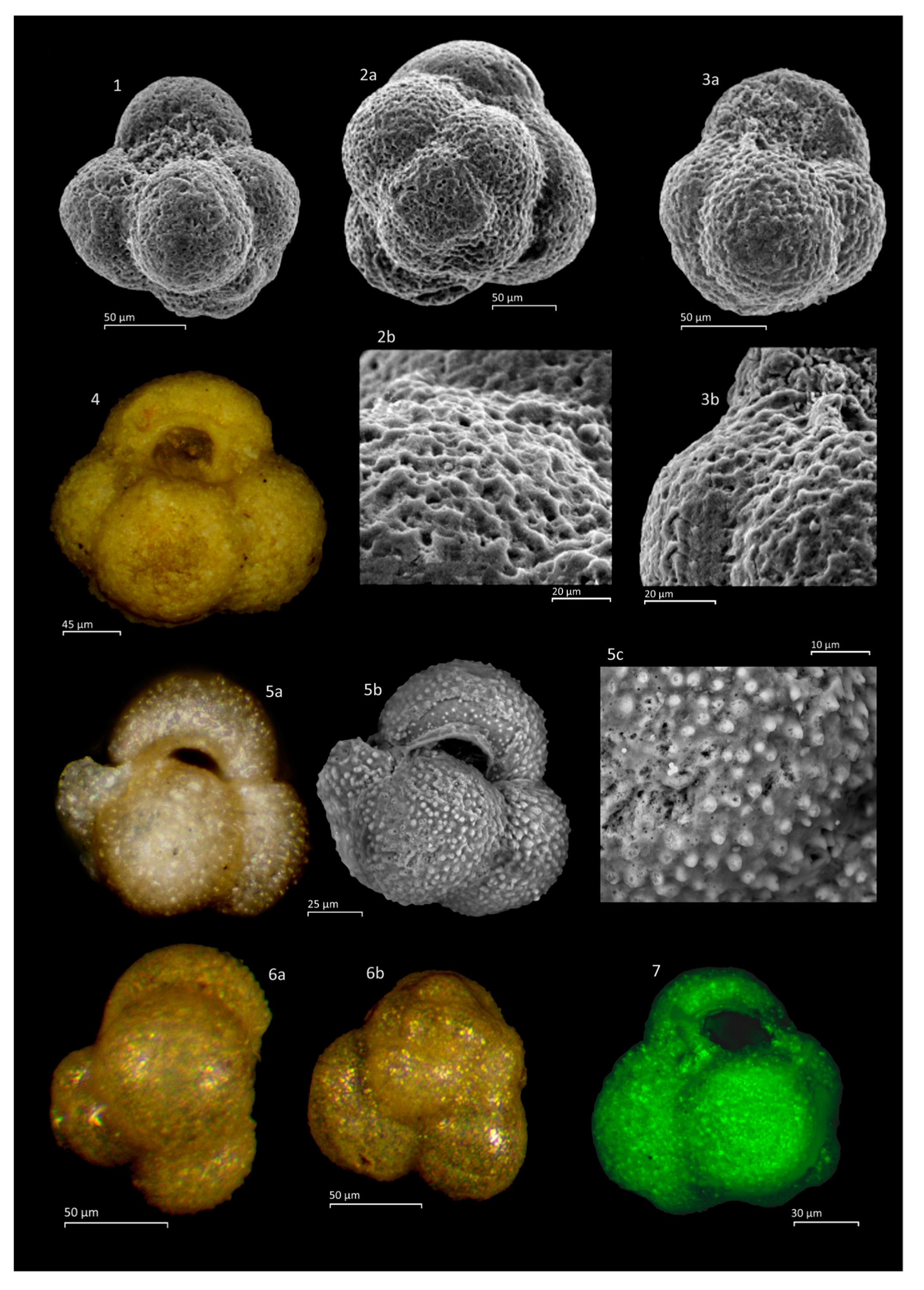 Geosciences 11 00085 g0a3