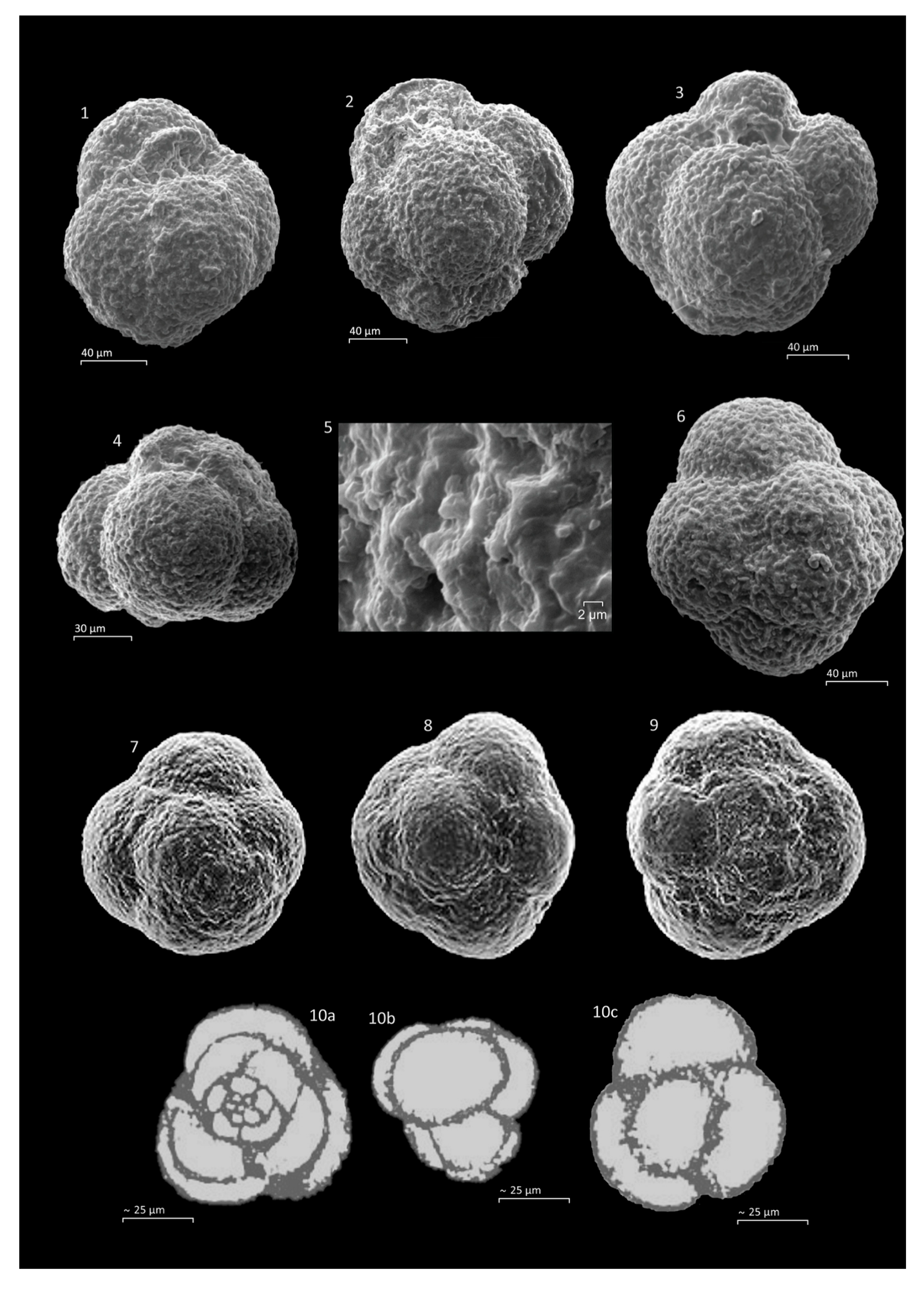 Geosciences 11 00085 g0a4