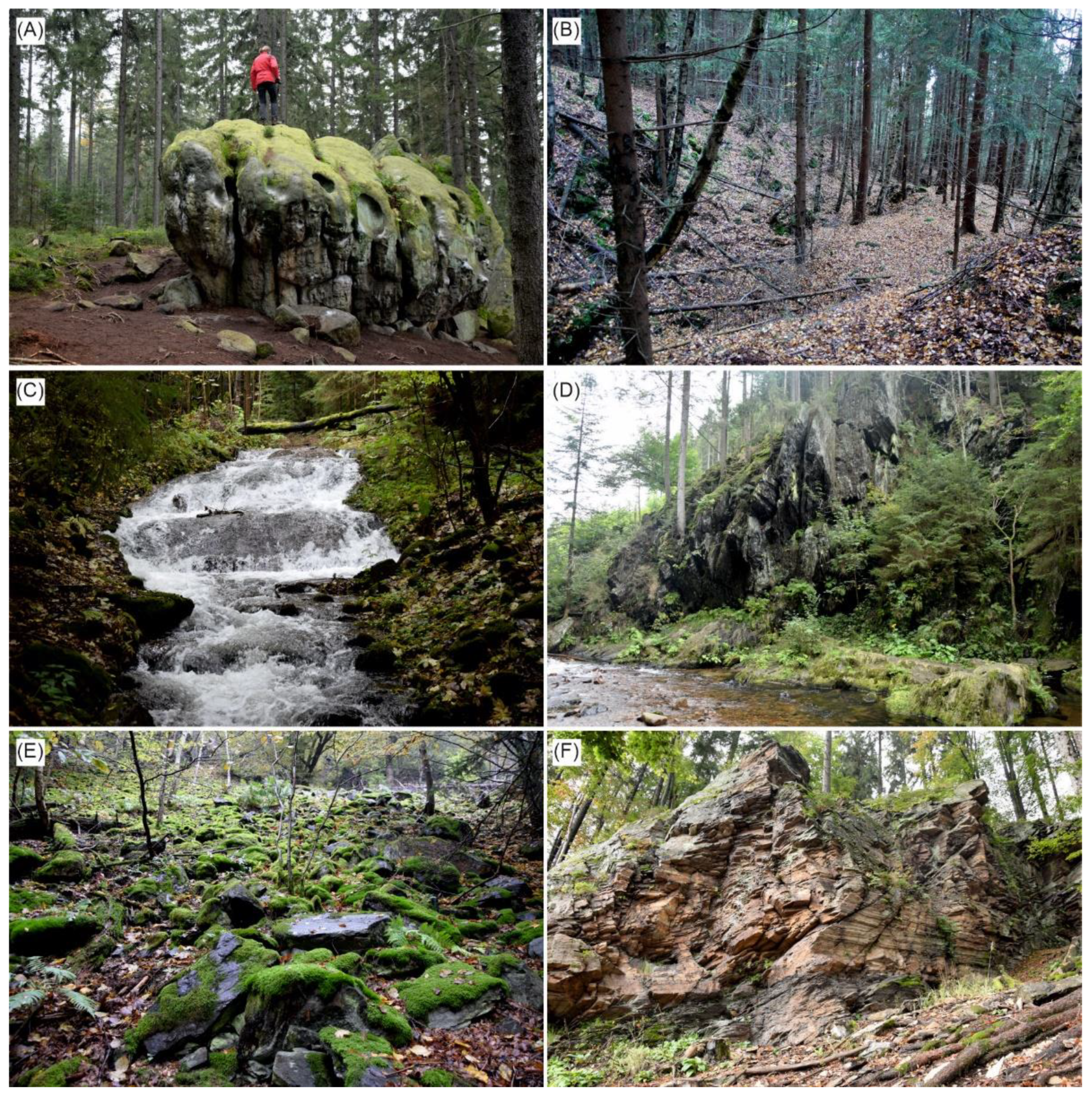 Geosciences 11 00100 g004