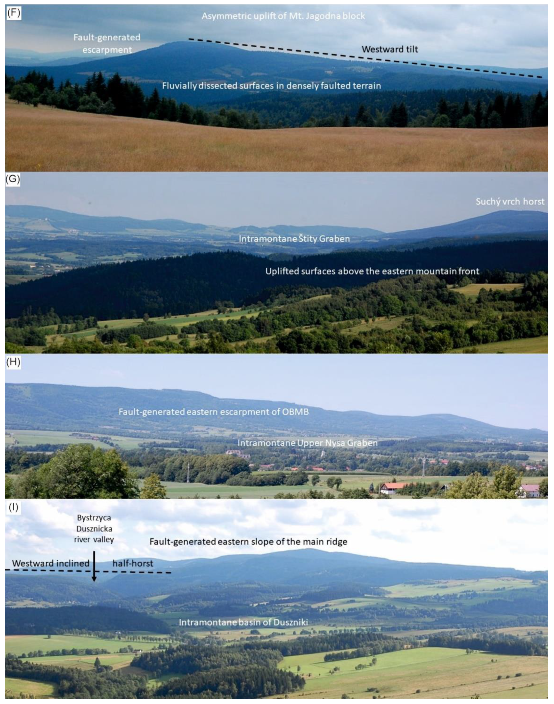 Geosciences 11 00100 g006b