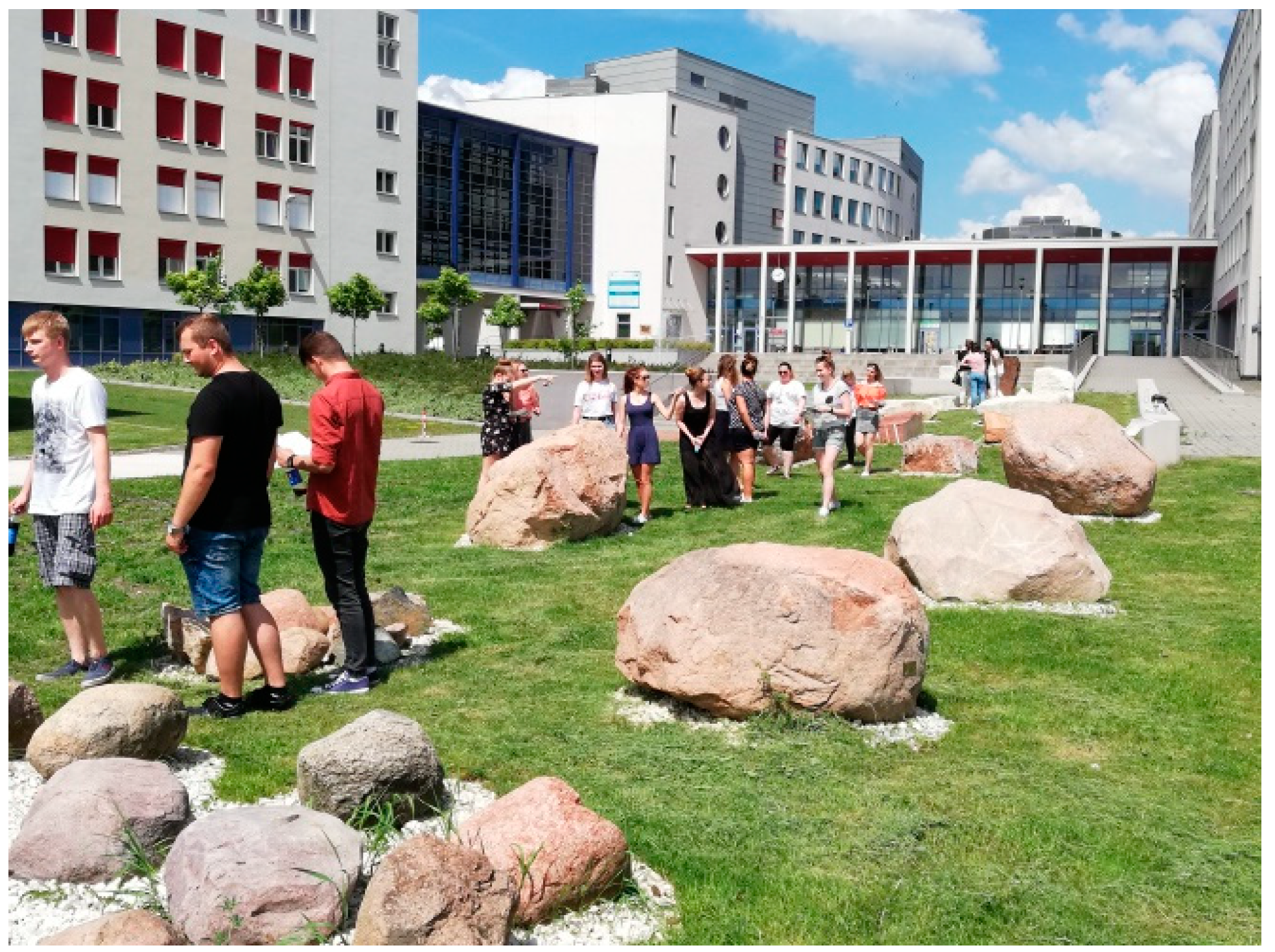 Geosciences 11 00113 g013