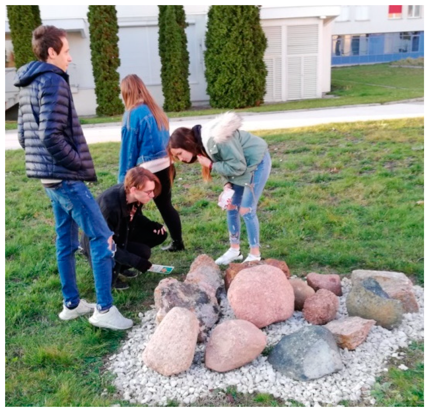 Geosciences 11 00113 g014