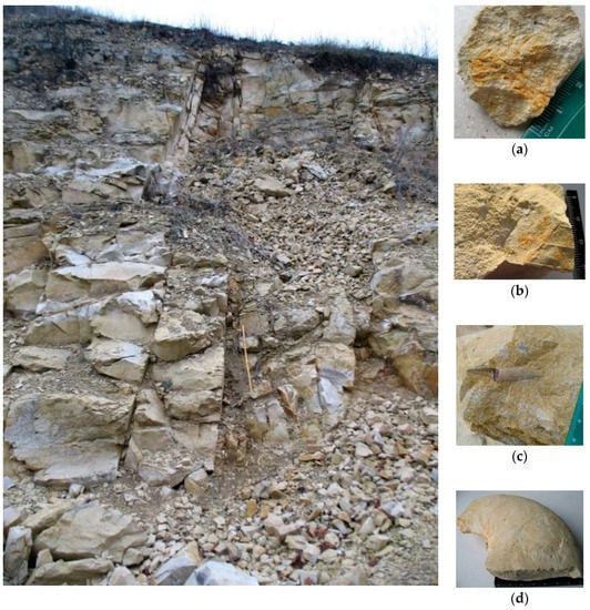 Geosciences 11 00120 g003