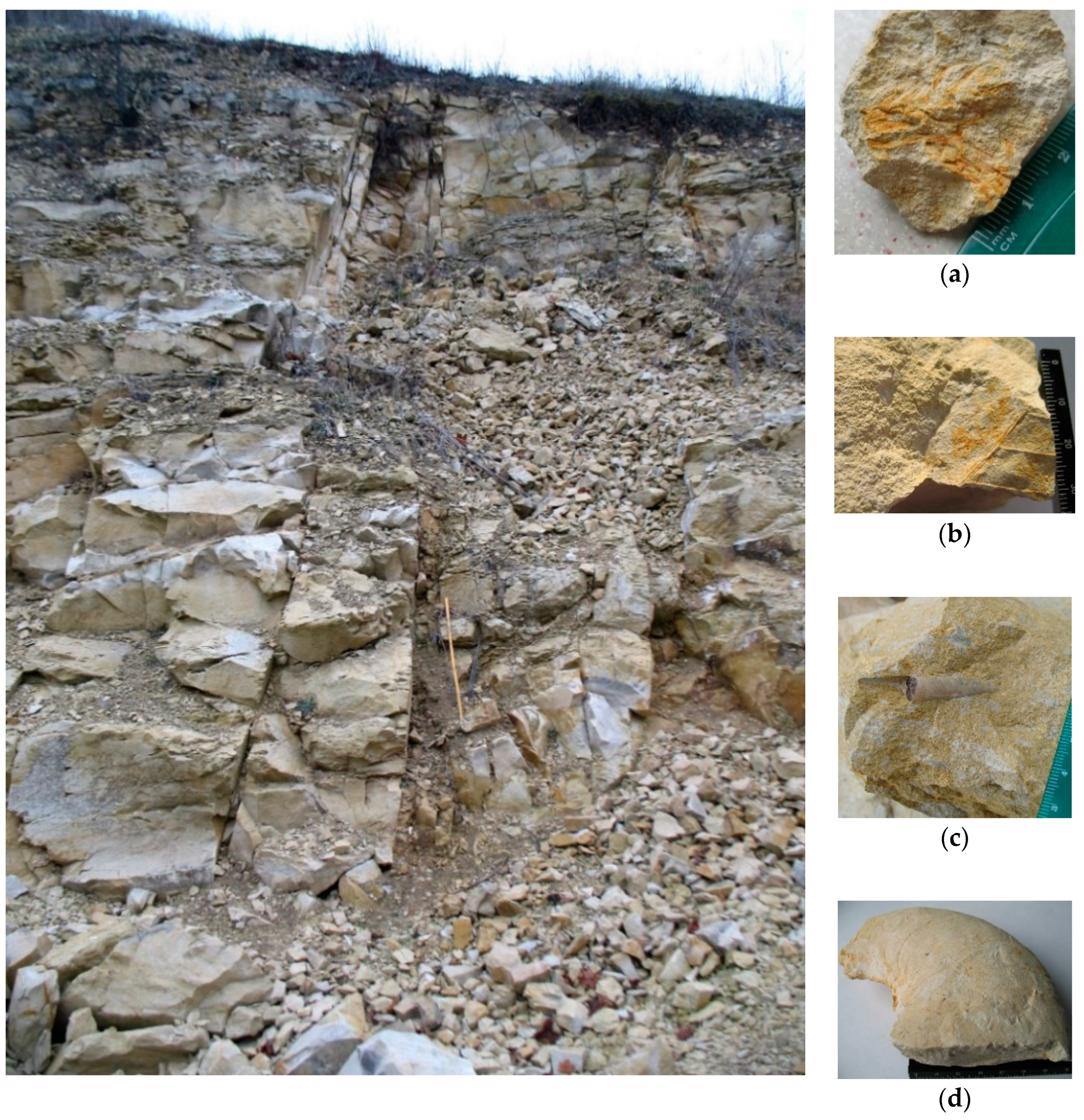 Geosciences 11 00120 g003