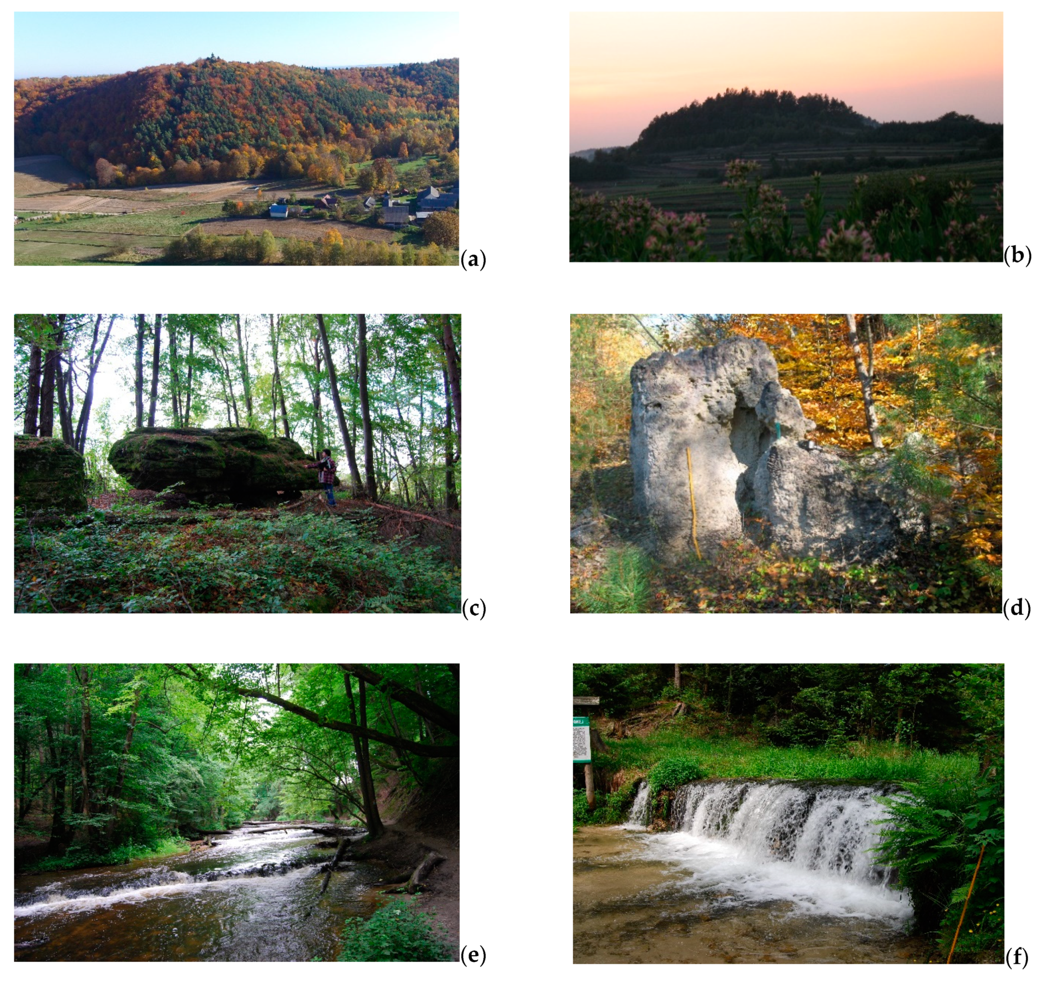 Geosciences 11 00120 g005