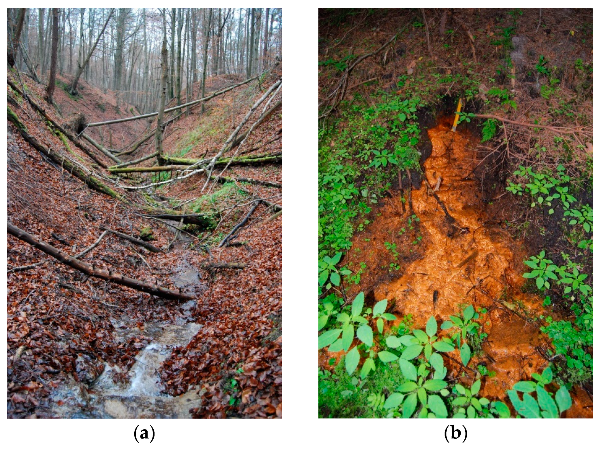 Geosciences 11 00120 g007