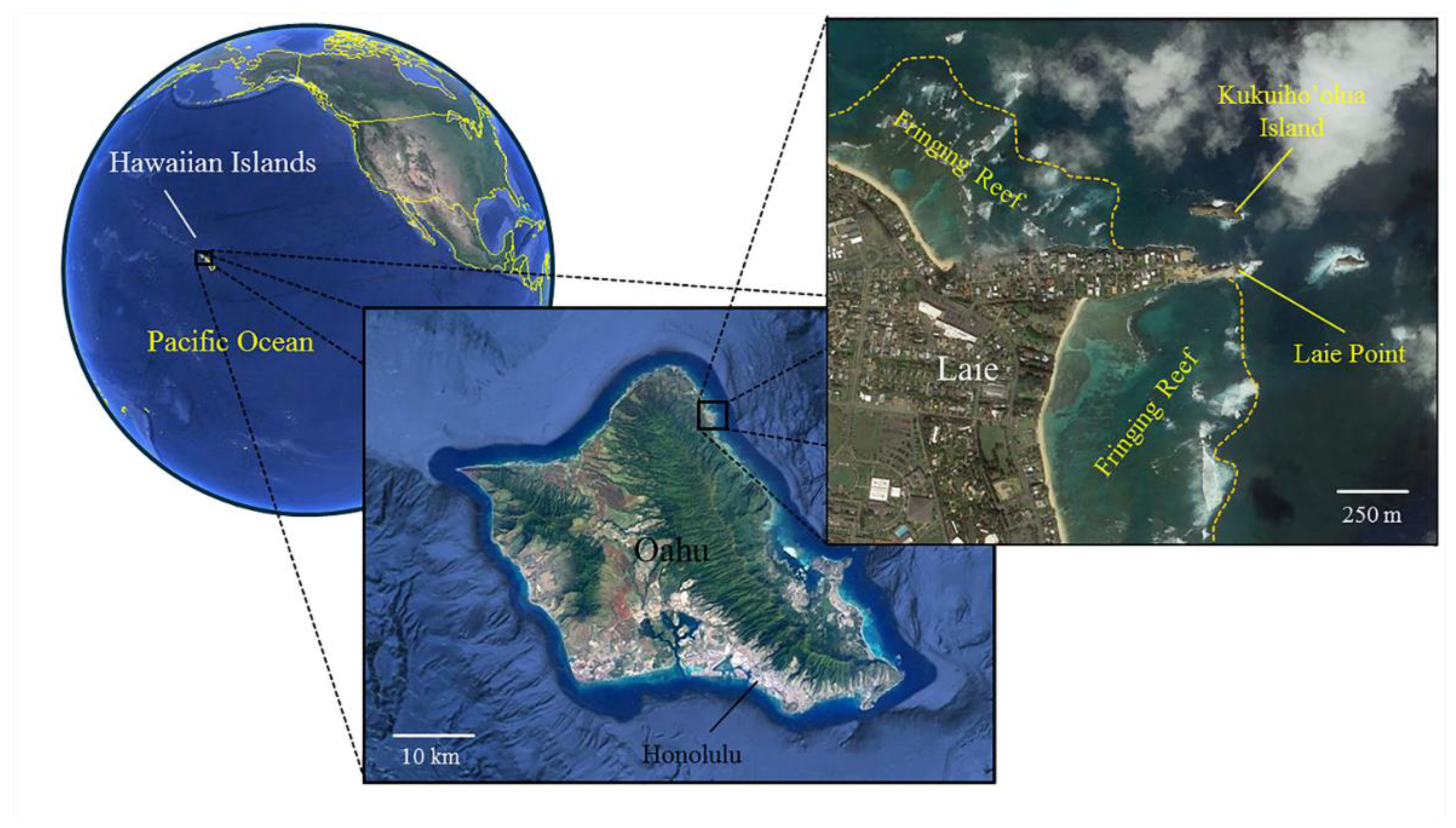 Geosciences 11 00147 g001