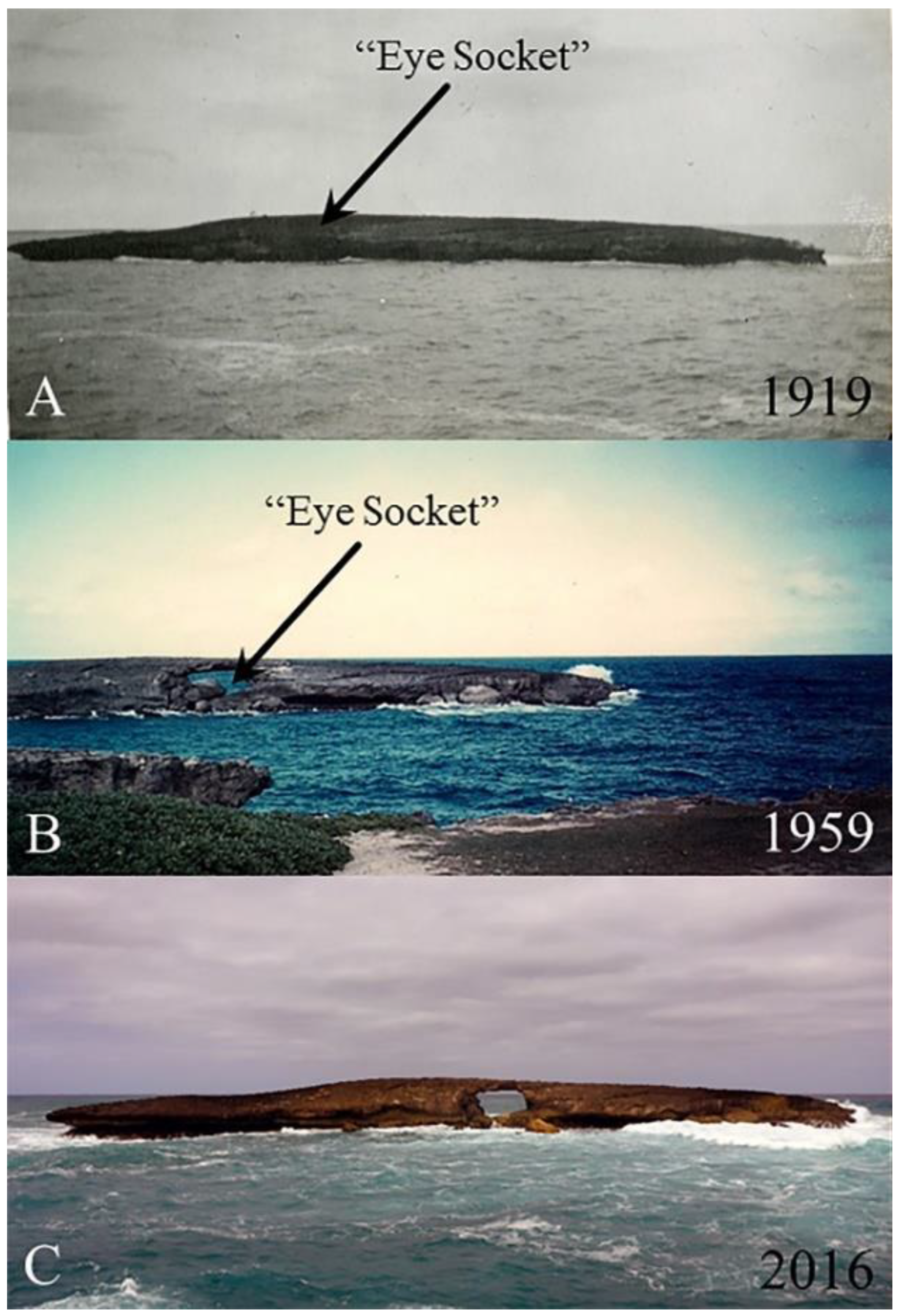 Geosciences 11 00147 g008