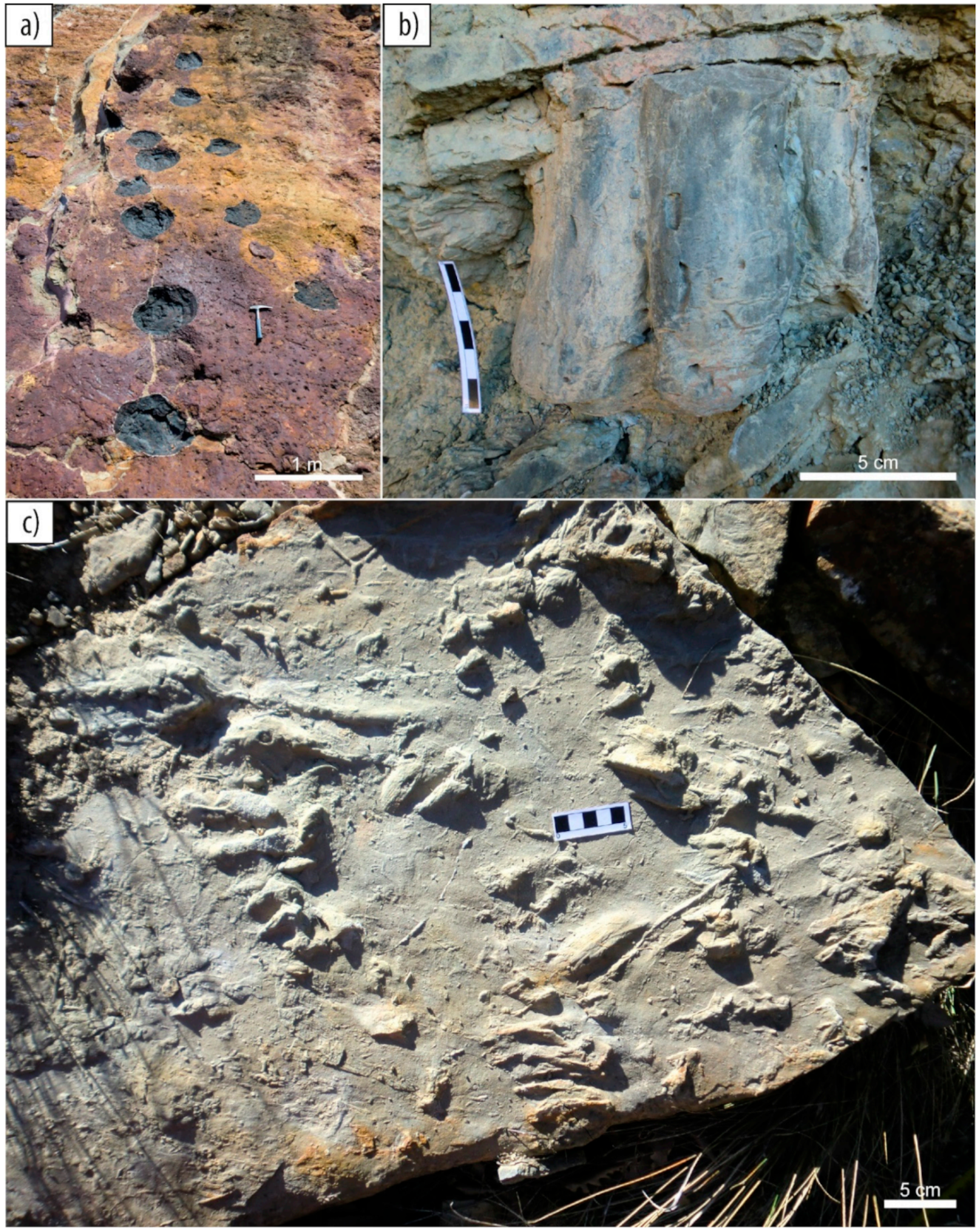 Geosciences 11 00162 g005