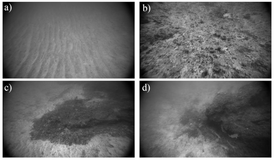 Geosciences 11 00176 g002