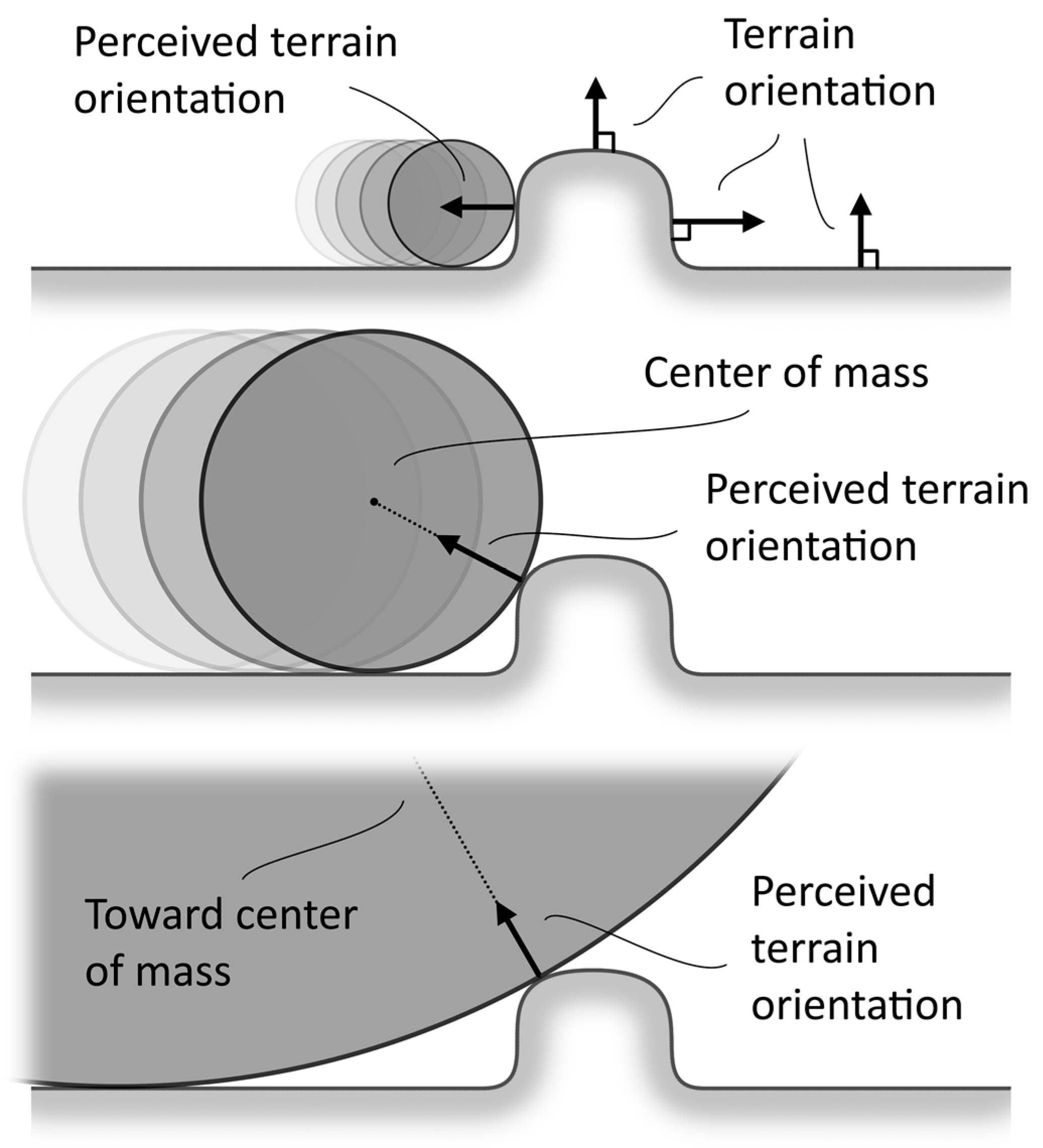 Geosciences 11 00188 g005