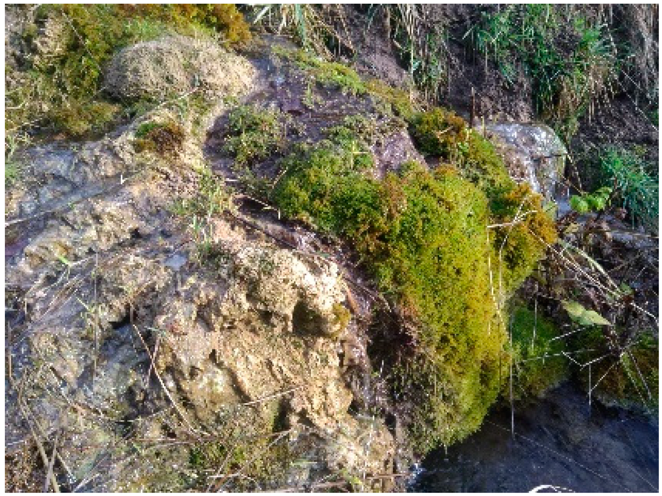 Geosciences 11 00198 g002