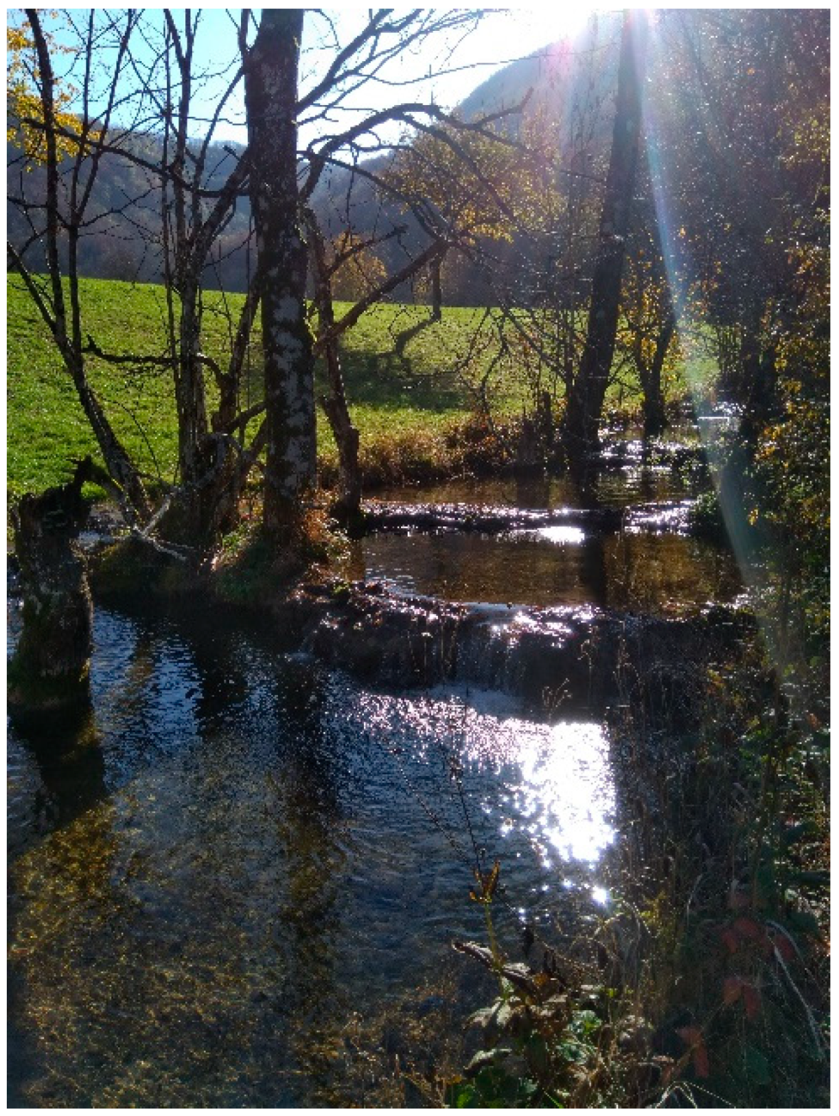 Geosciences 11 00198 g003