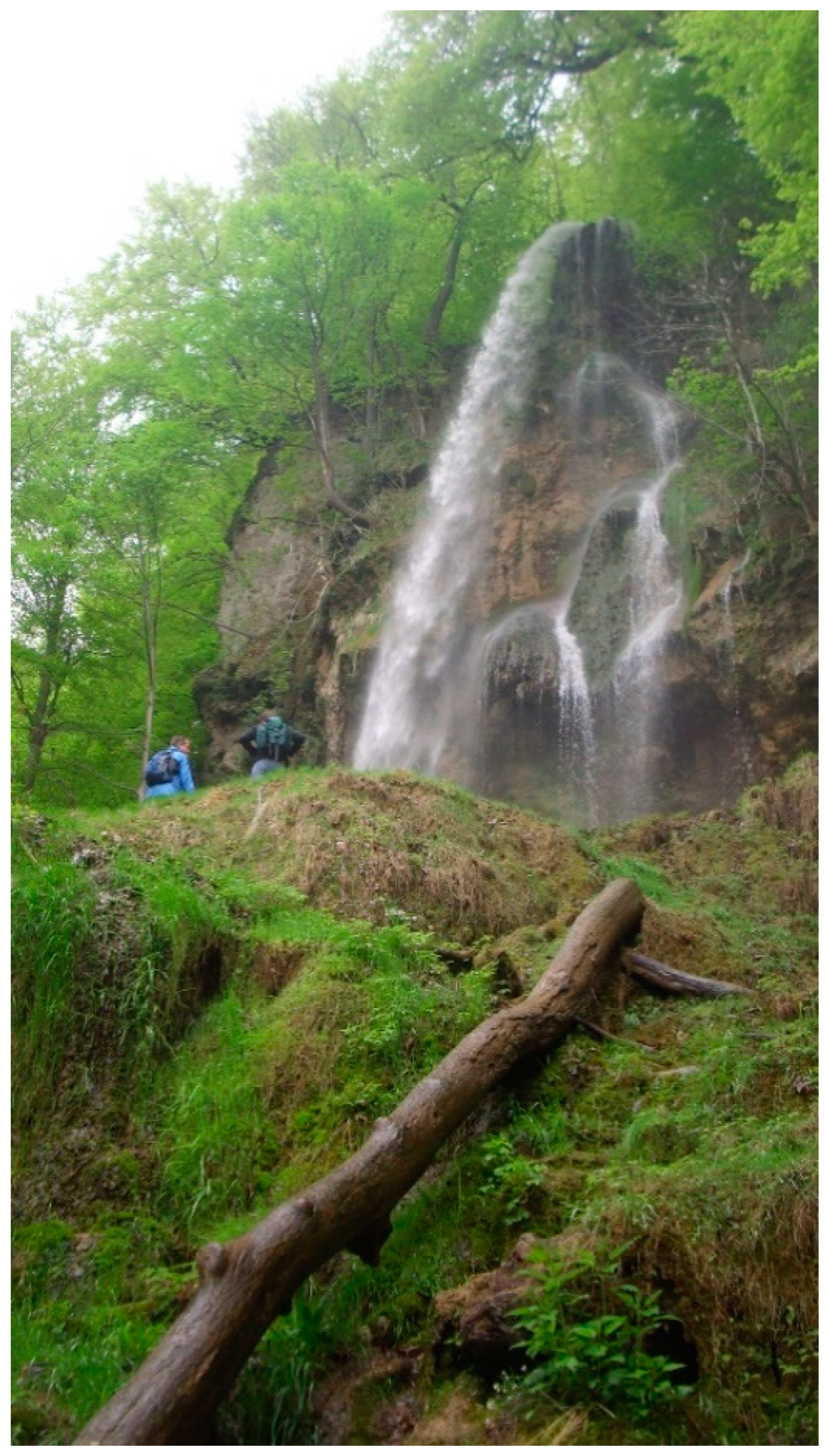 Geosciences 11 00198 g008